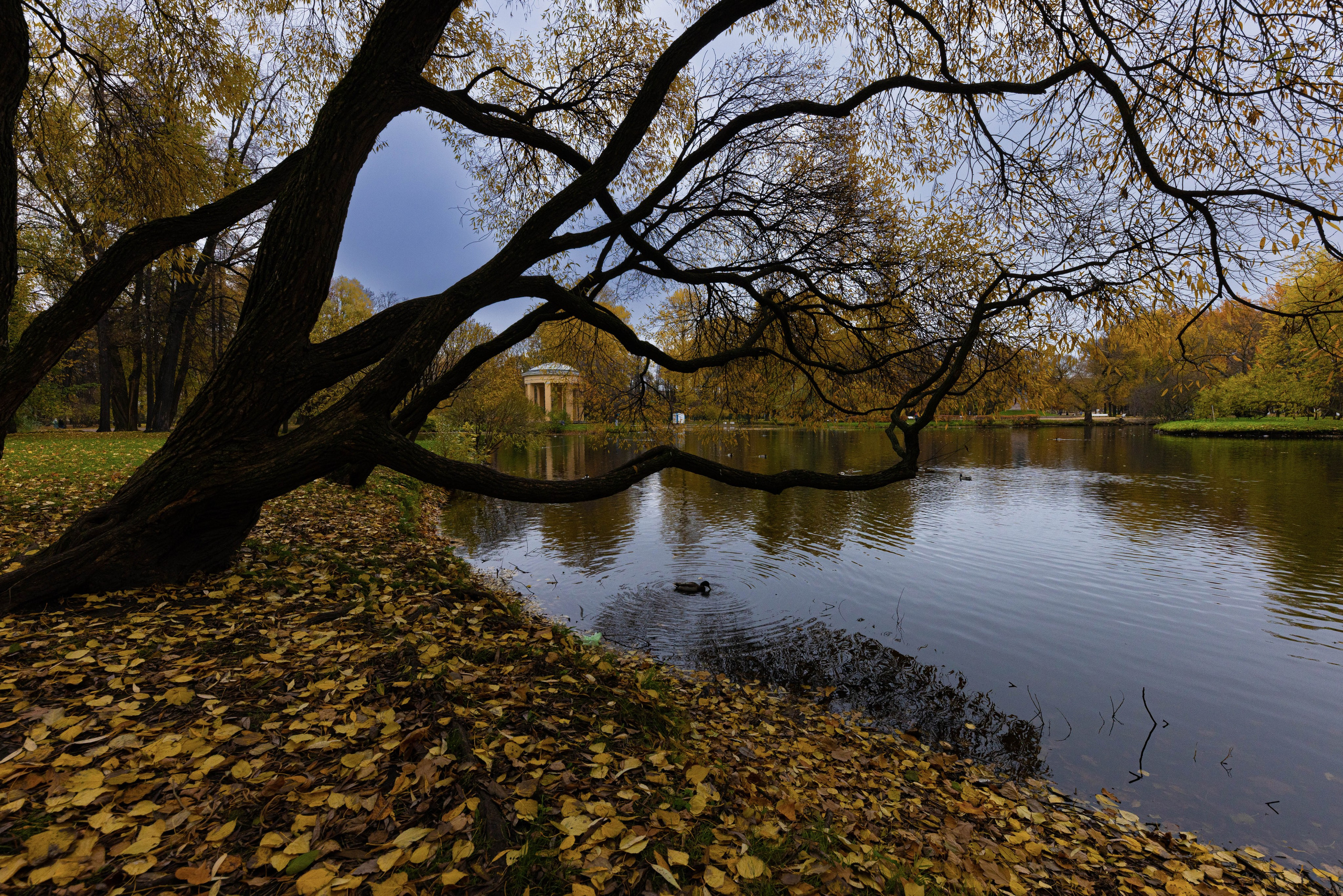 Архитектура и пейзажи. Главная