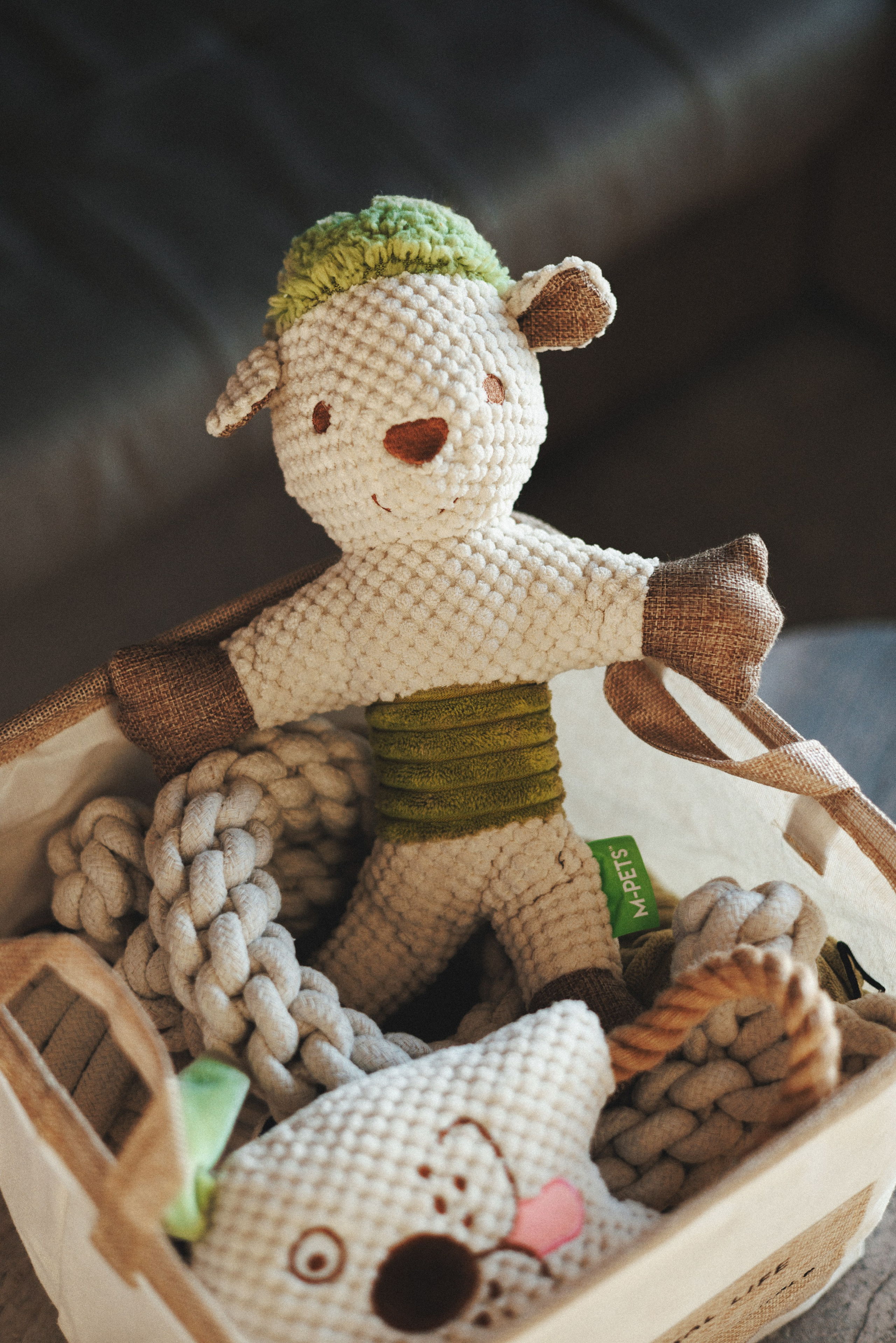 M-Pets. Фотограф анималист Осипчикова Мария