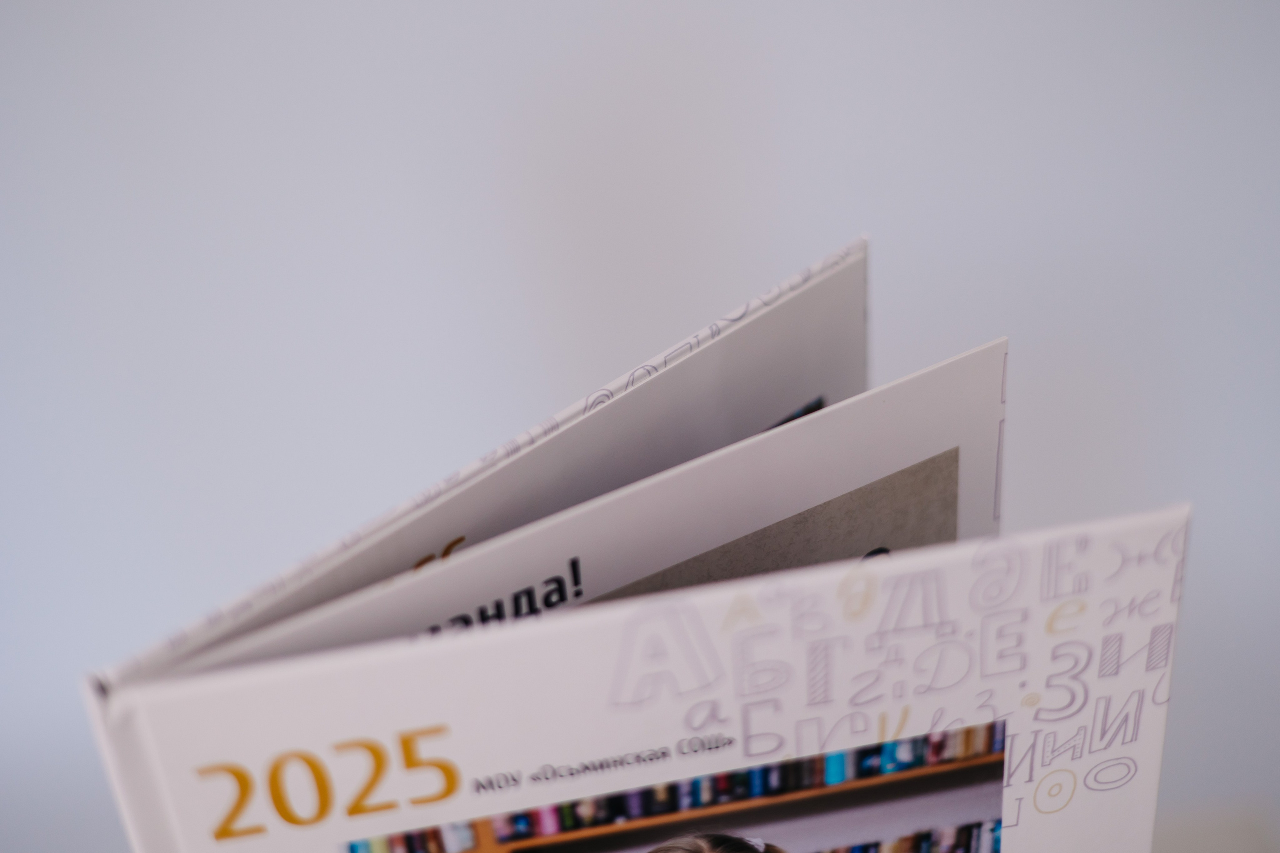 2 разв. для Цен-2. Выпускные альбомы в Луге/Школьные съёмки