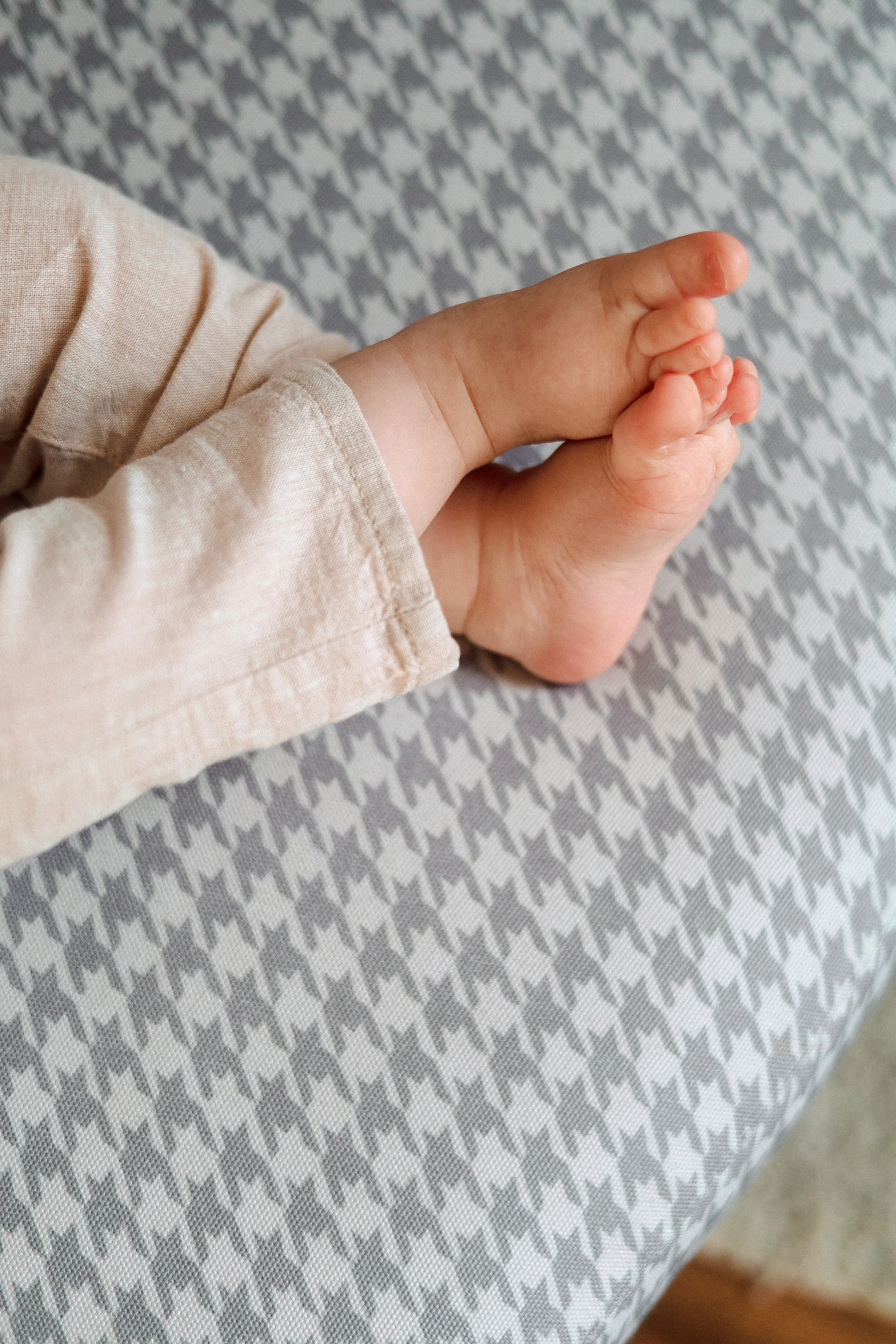 Лев 1 годик. Главная