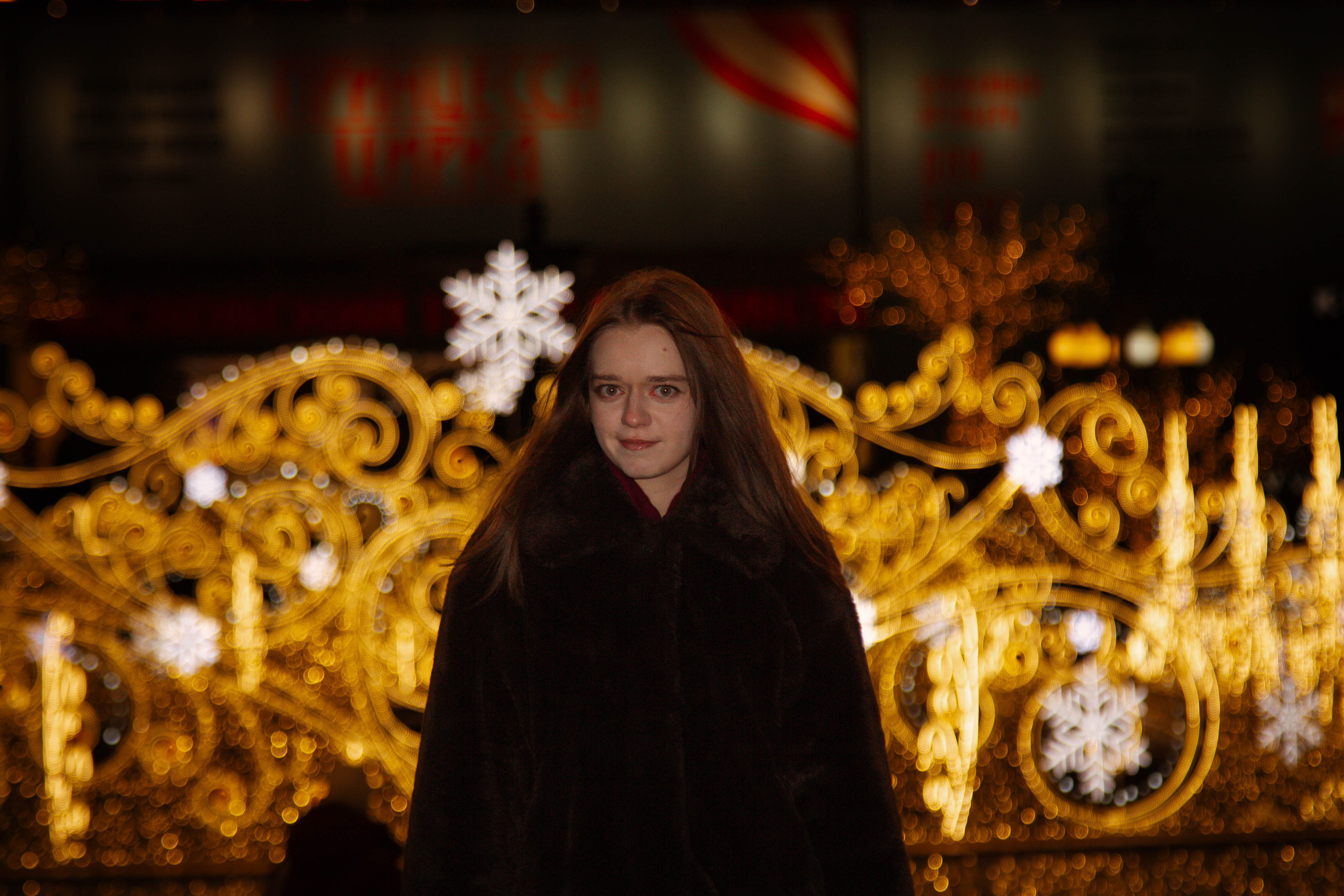 Новогодняя фотоссесия Екатерины. Ладно