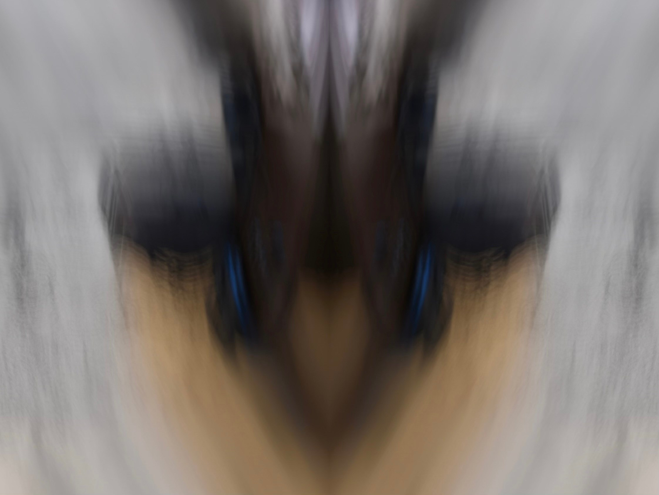 Urban flowers. Арт — фотограф Евгений Наймушин Новокузнецк