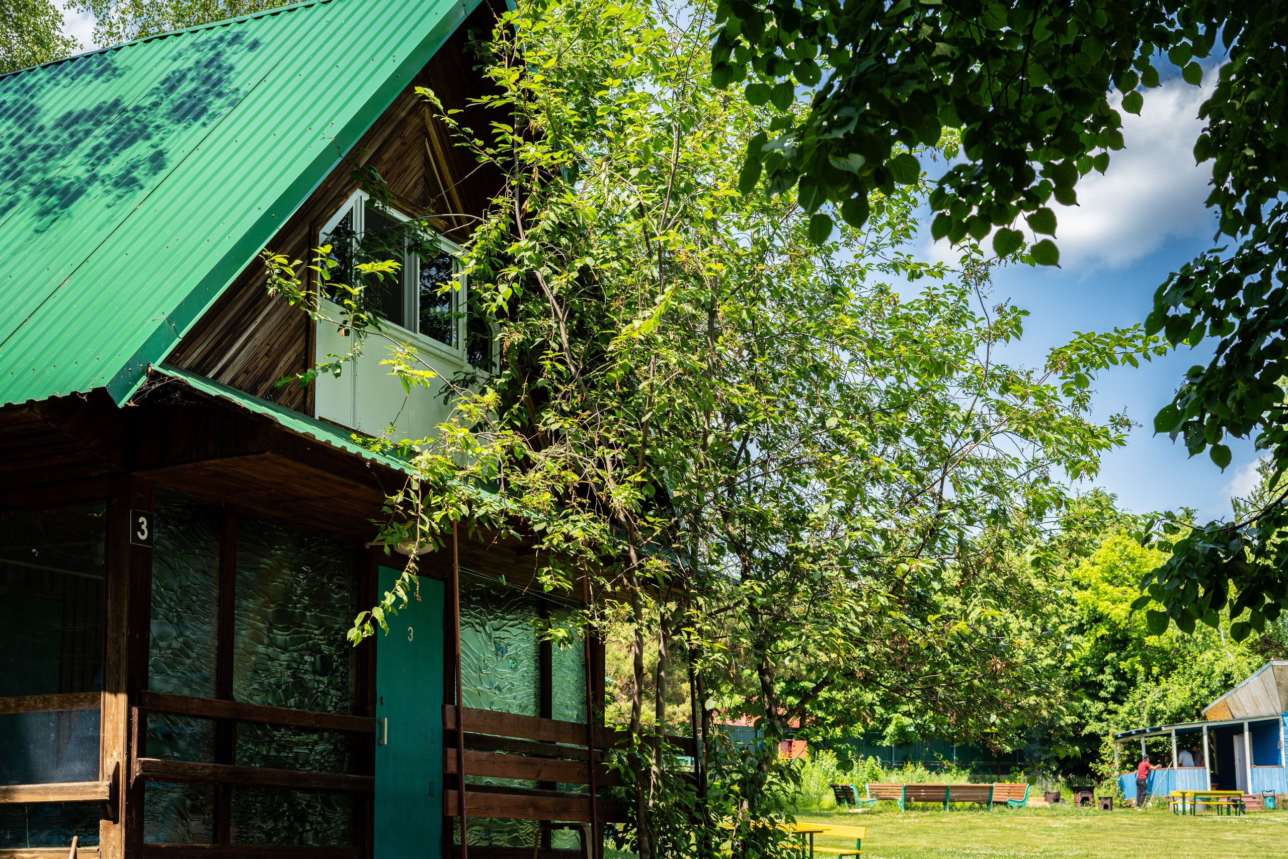 Полянка. Анастасия Паршукова — фотограф Шерегеш Новосибирск