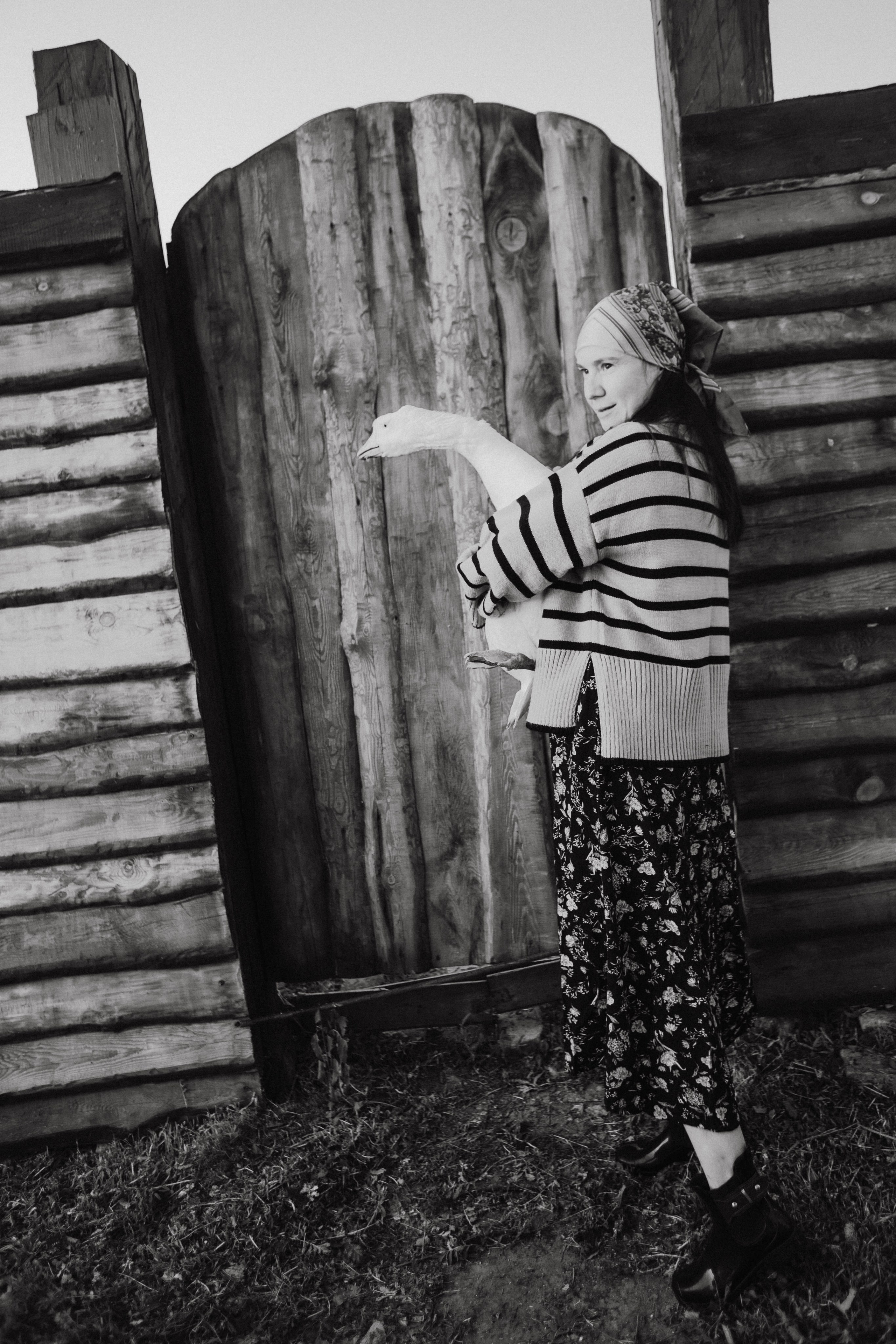 Варвара. Лошади. Закат. Фотограф в Нижнем Новгороде