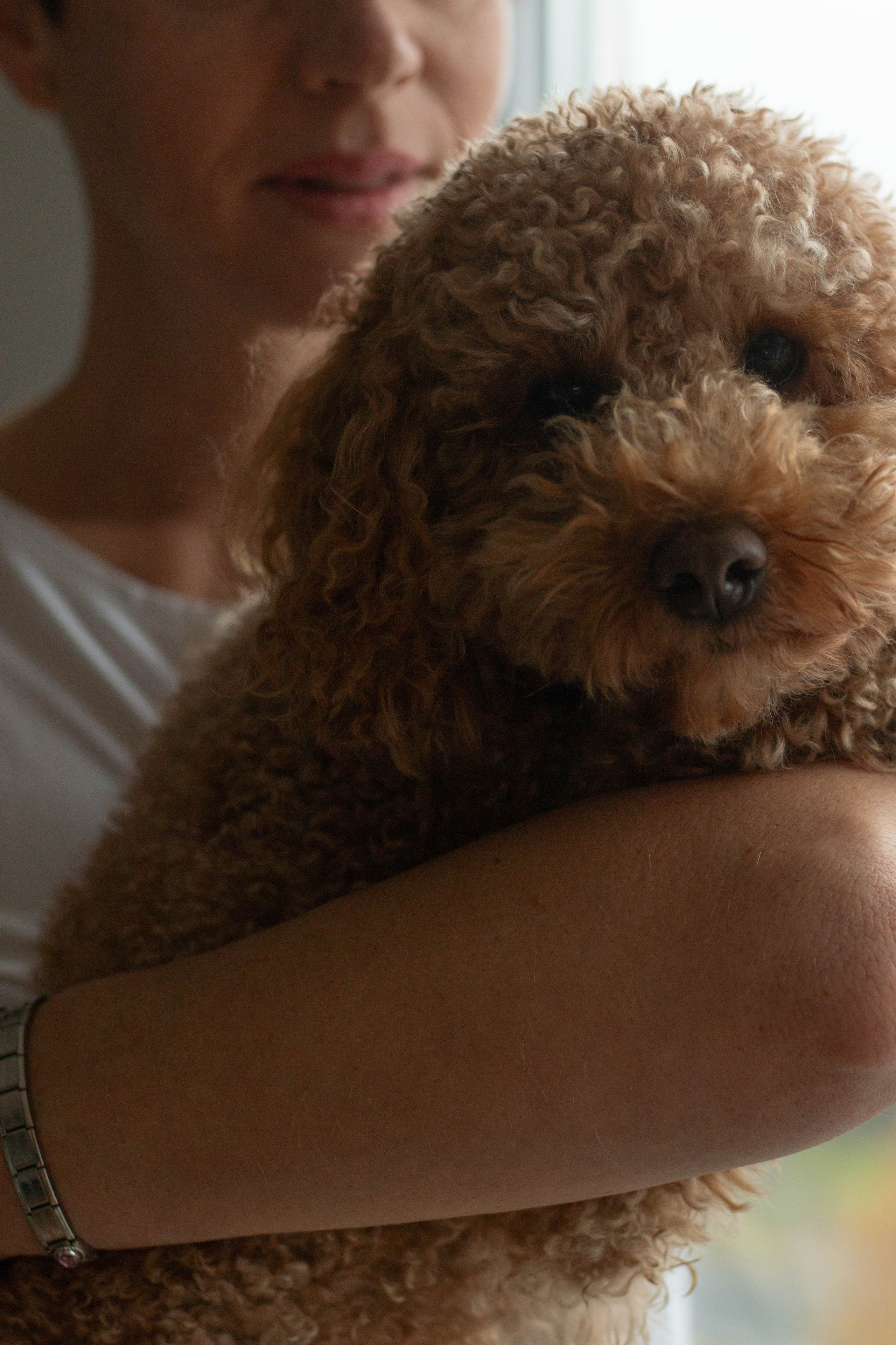 Olga & Eric. Бережно сохраняю ваши чувства и истории на своих фотографиях