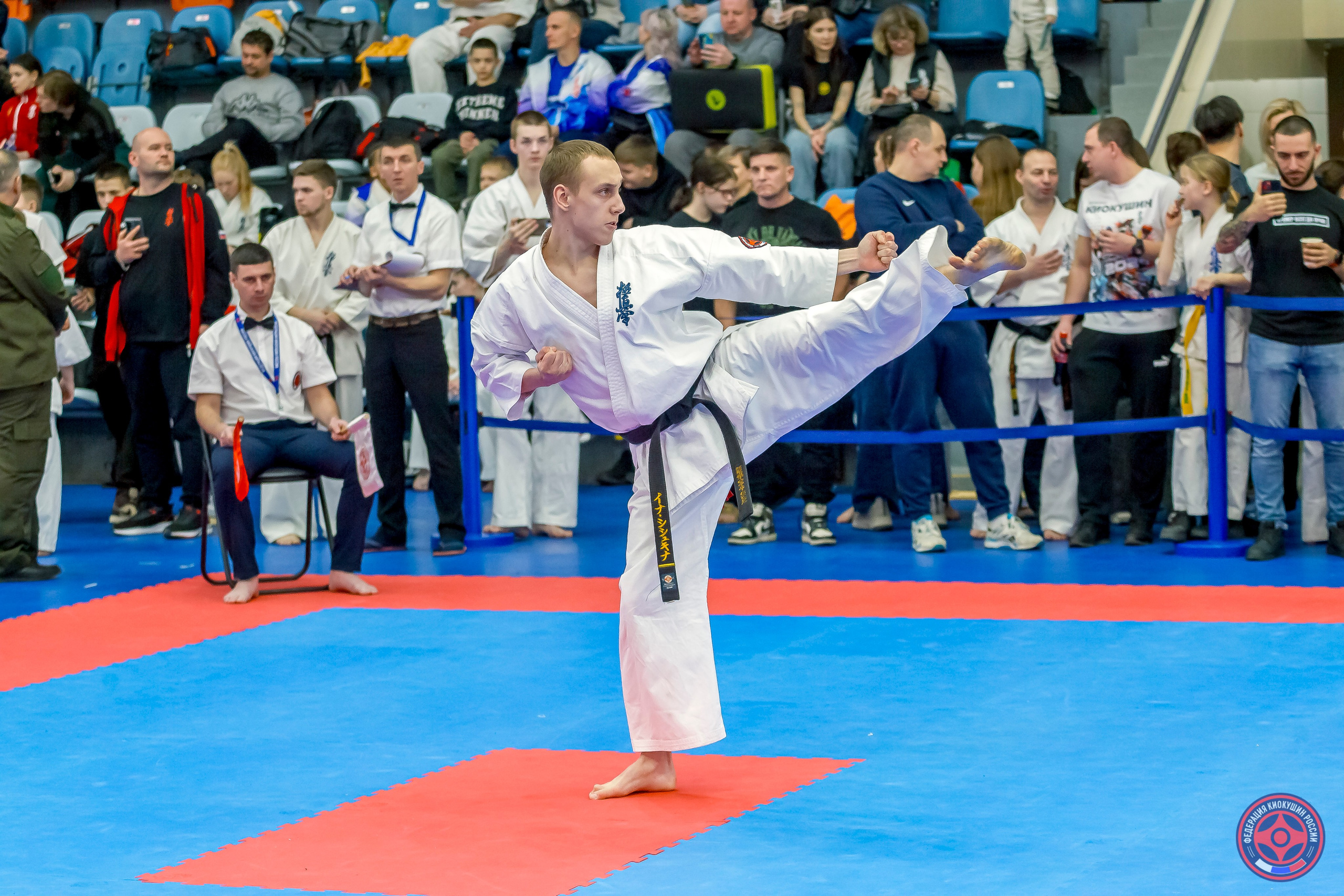 Международный турнир по киокушин «Открытый кубок Seiken». Репортажная съемка в Москве и области. Анималистика