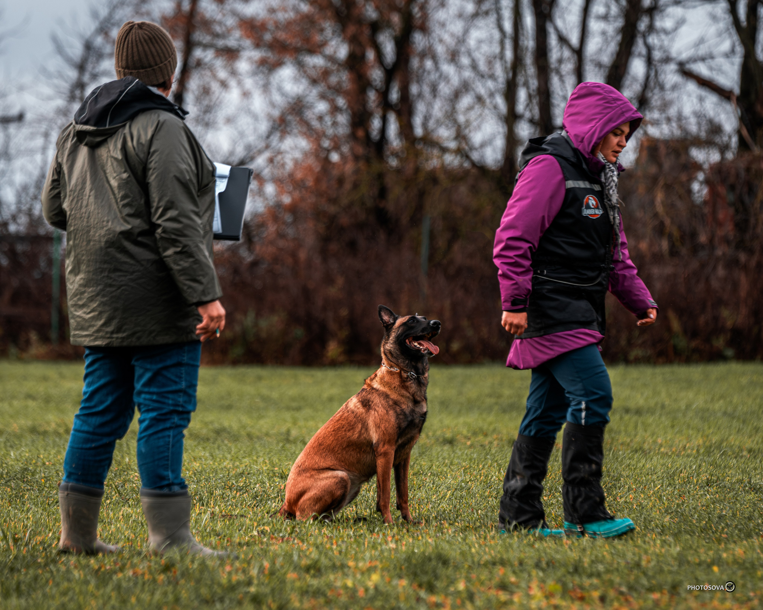 МЫ — КОМАНДА (соревнования) OKD, BH, IBGH, IGP. Фотограф-анималист, семейный фотограф в Москве и Подмосковье. Фотосъёмка кинологических дисциплин