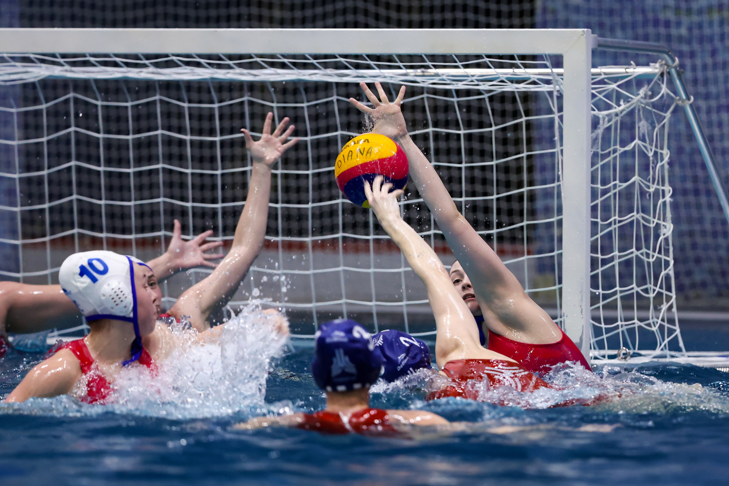 ВК «Диана» — ВК «Скиф-Восток» 24.01.2026. Спортивный и репортажный фотограф Антон Тереханов