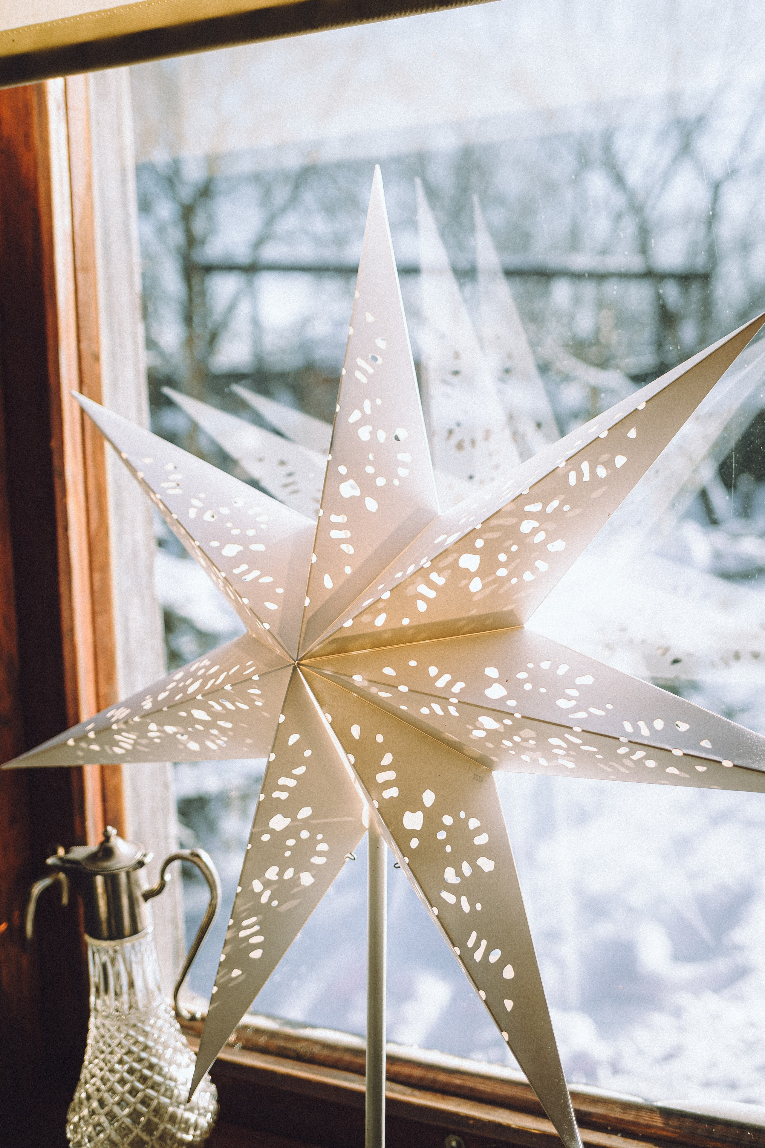 Плюш, Айса и их семья