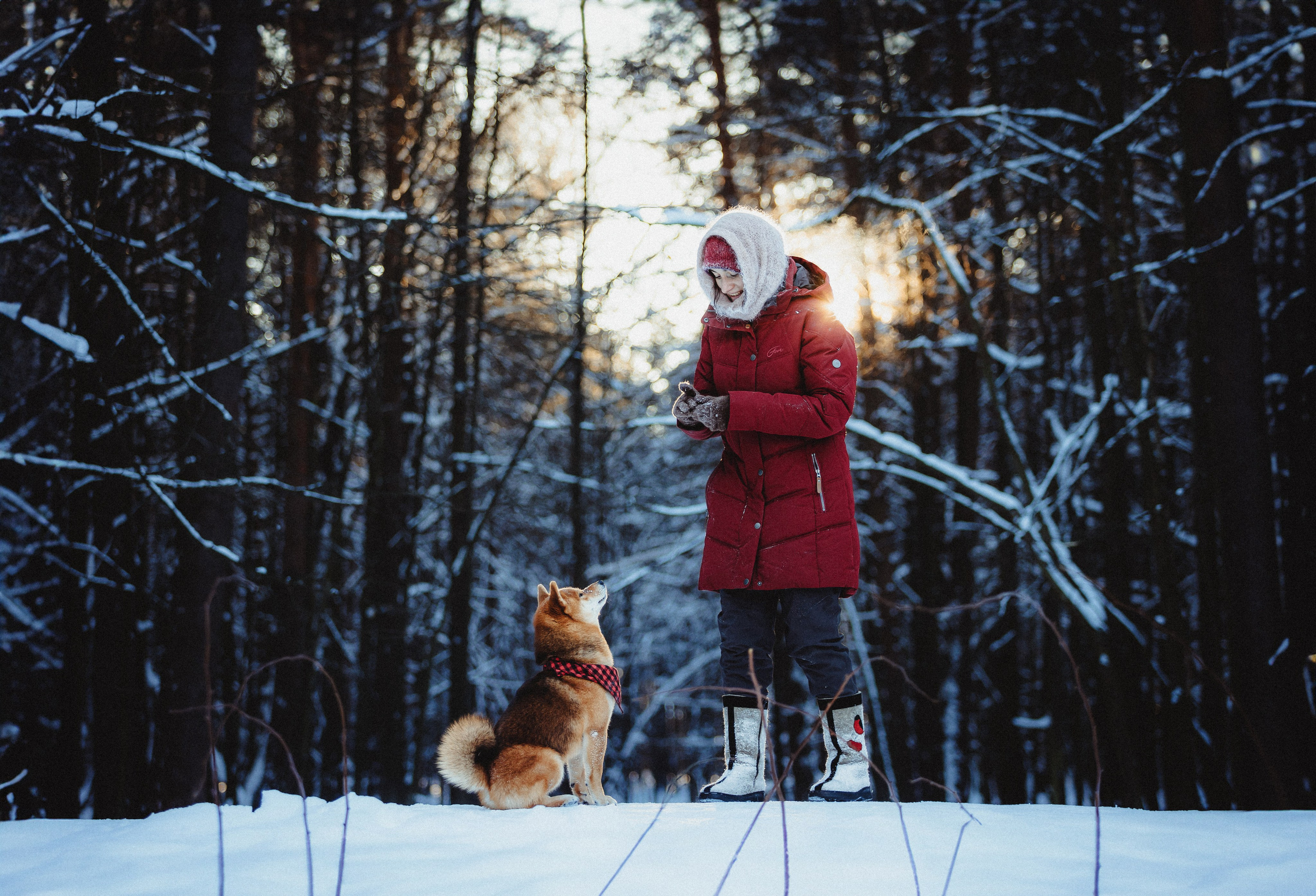 Шед, Цири и Ира