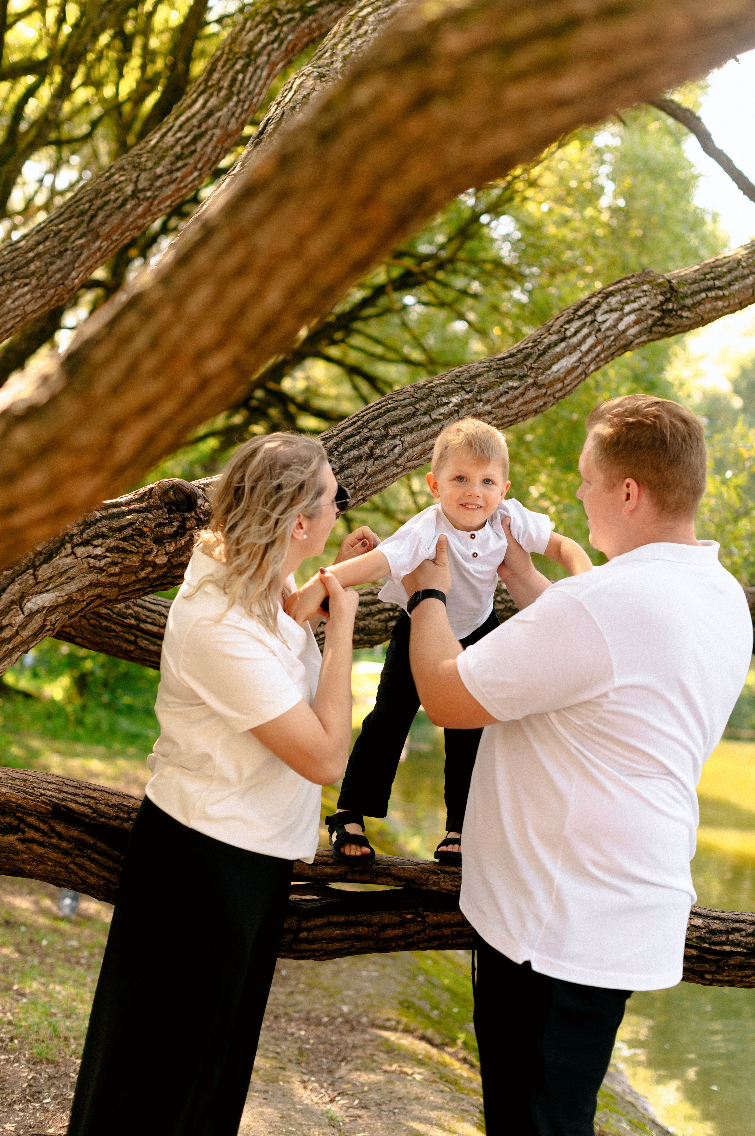 НА ДЕРЕВО ЗАЛЕЗУ. Шашкова Вероника / Свадебный и семейный фотограф Москва и Ярославль