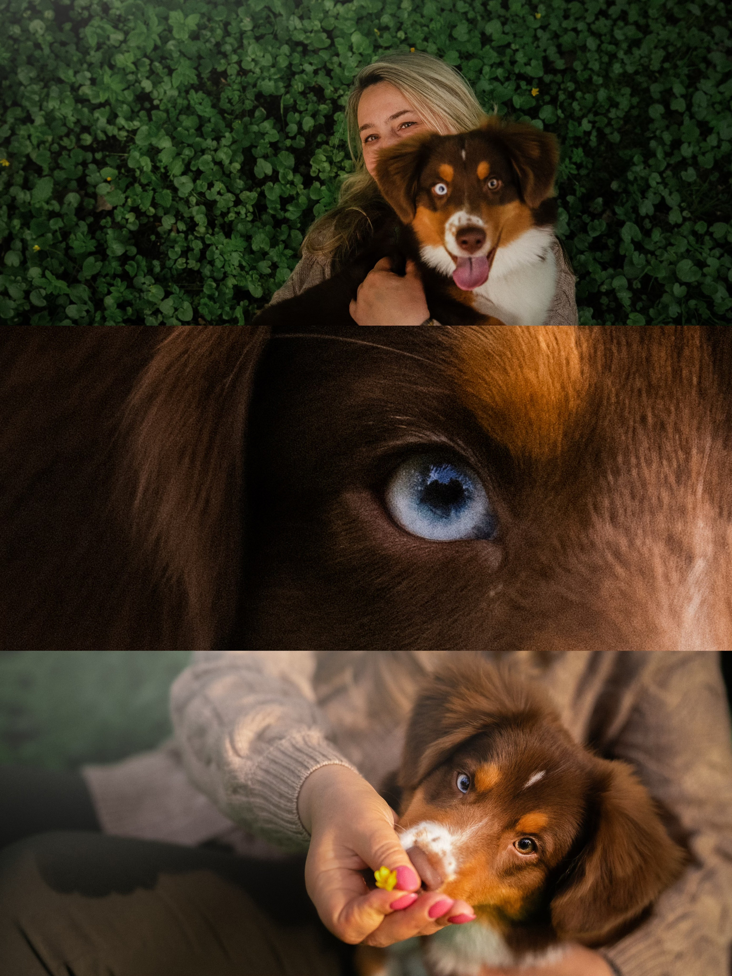 Мария и Брасс. Фотограф анималист в Москве и Санкт-Петербурге Свиридова Анна