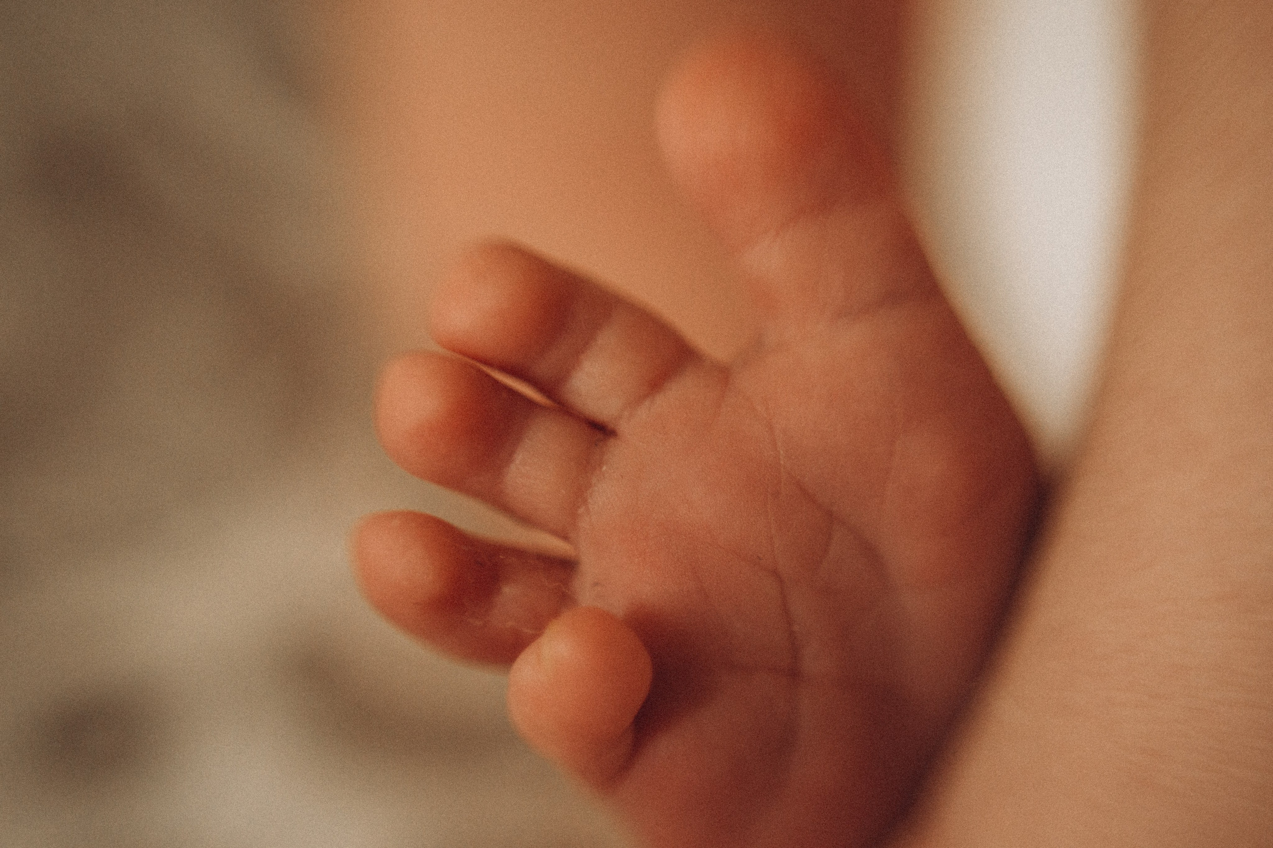 Мелисса. Семейный фотограф Виктория Потехина Москва