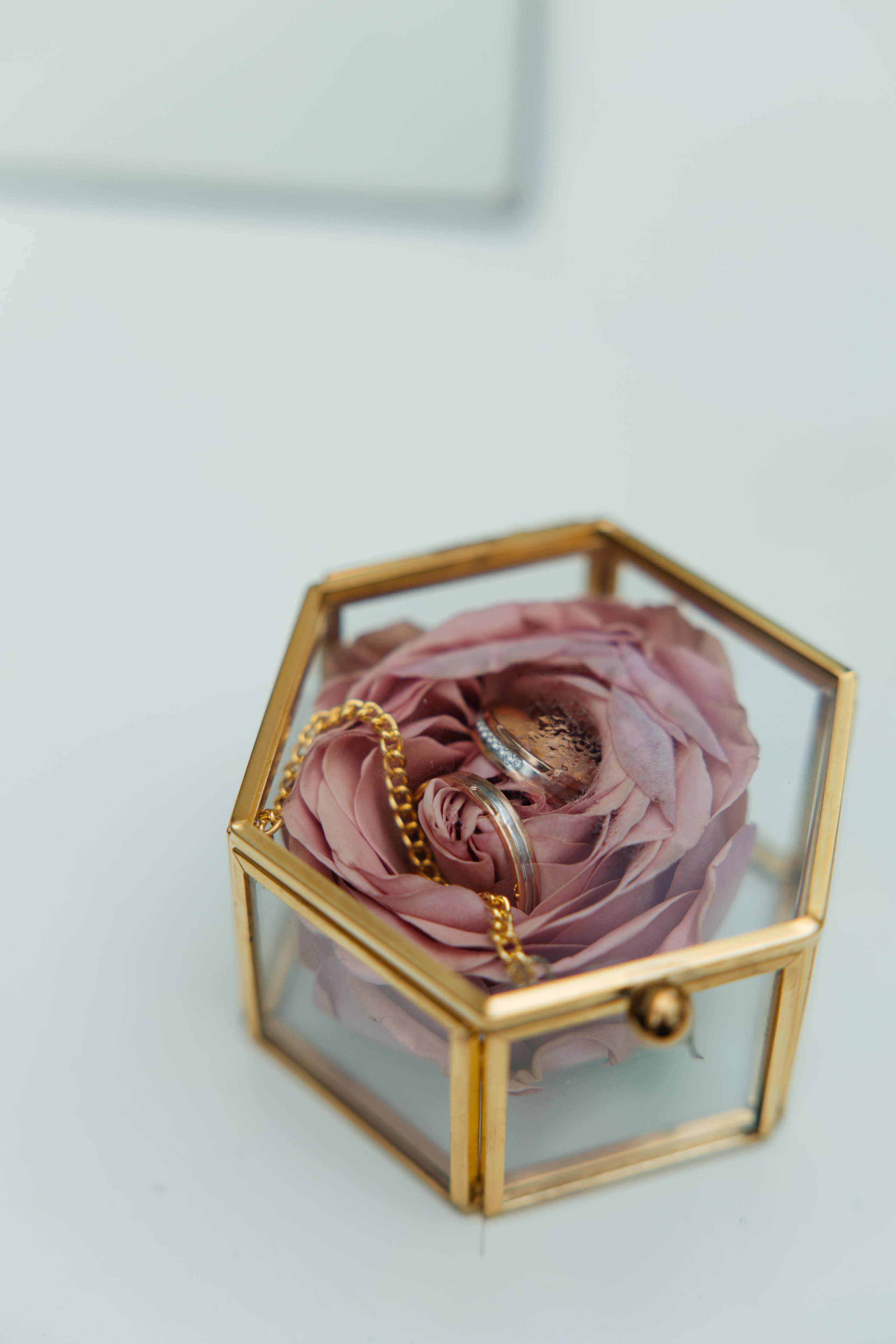 DMITRY & MARIA. Свадебное ФОТО & ВИДЕО Москва/Липецк