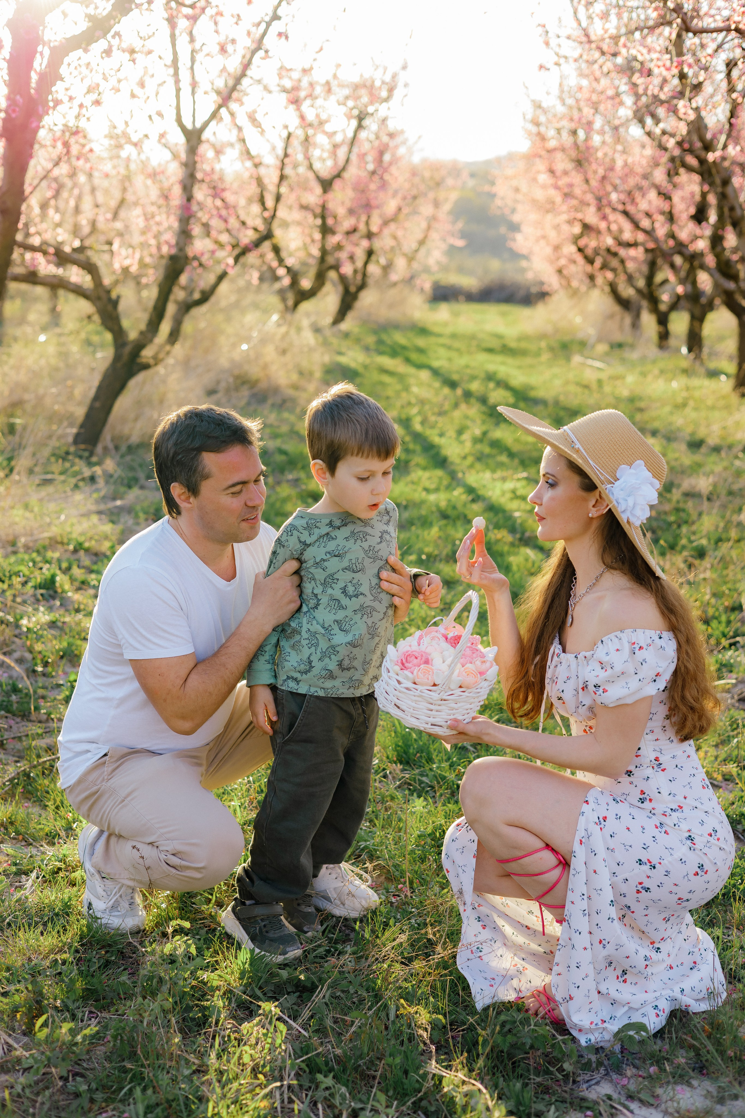 Закат в персиковом саду