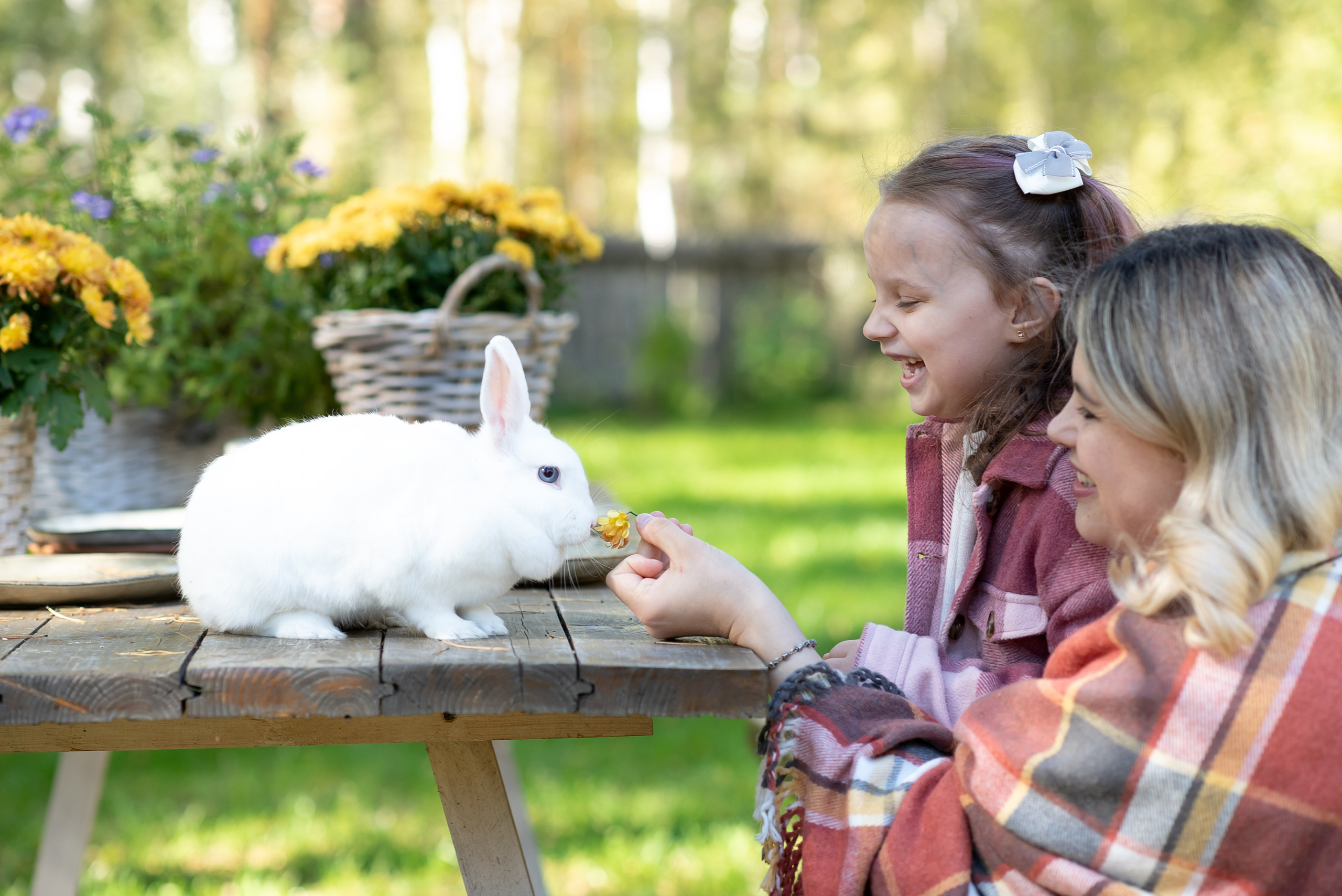 Фотостудия Лес Чудес. Фотограф Мария Усманова, Казань