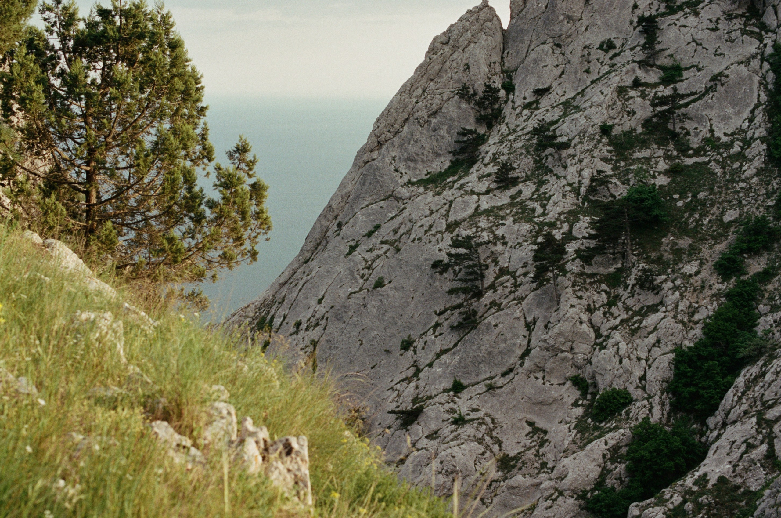 Silent running // ukraine, crimea. EVER EXPOSED