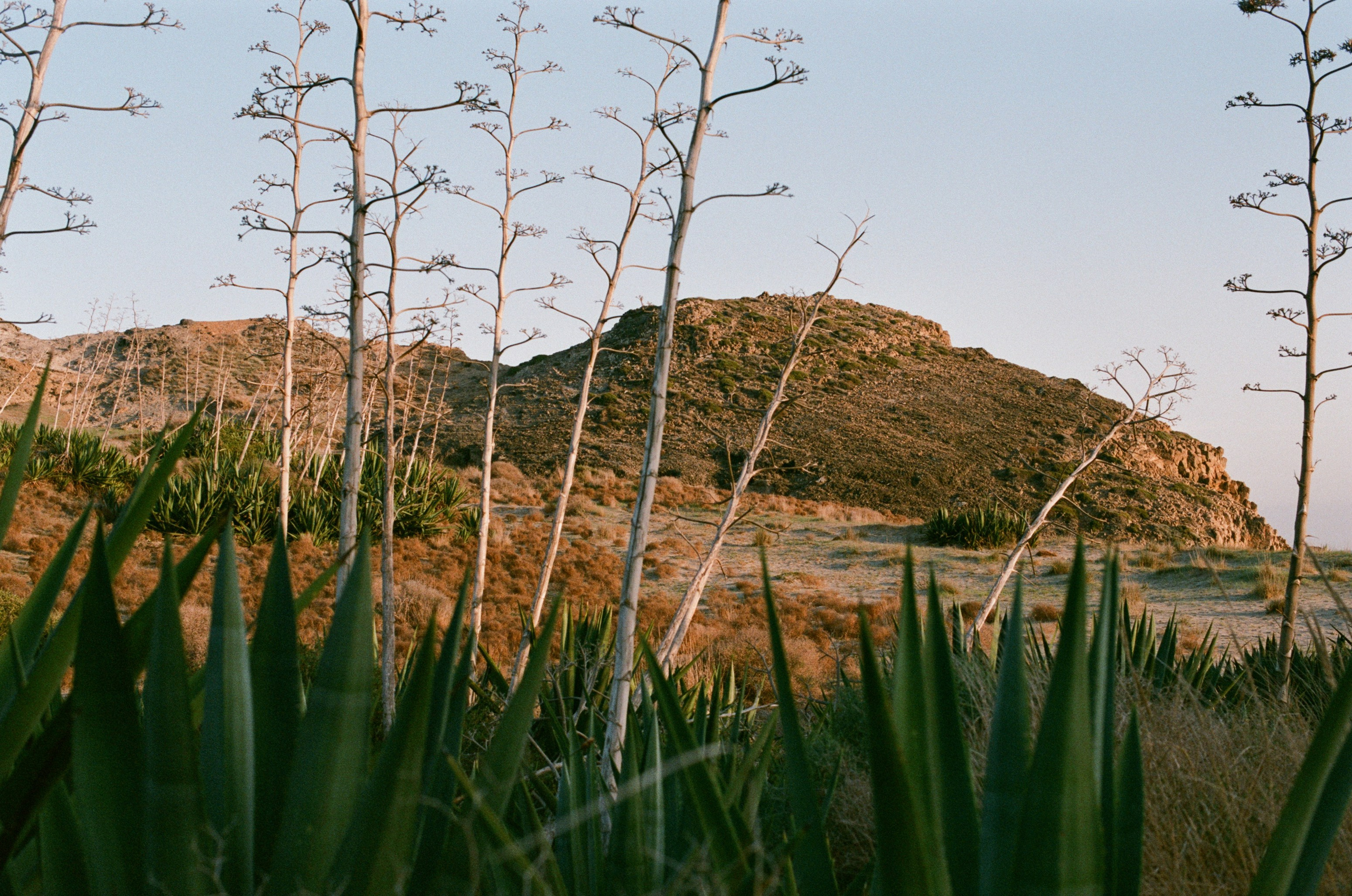 Spanish sahara // spain, cabo de gata II. EVER EXPOSED