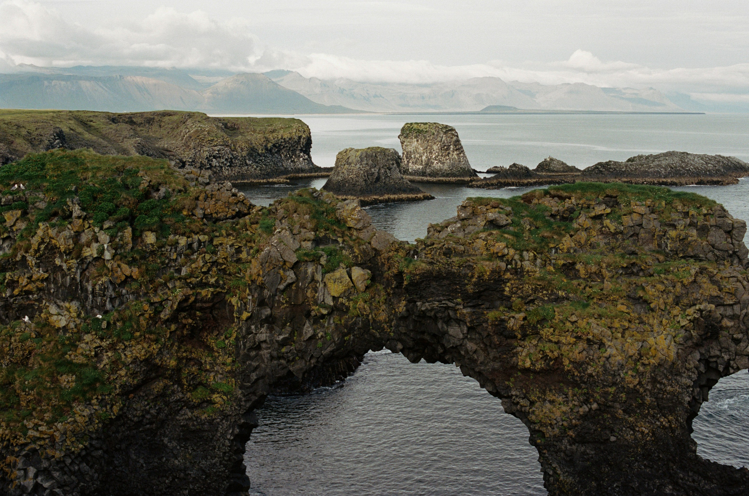 Vor i vaglaskogi // iceland, 574 utnesvegur. EVER EXPOSED
