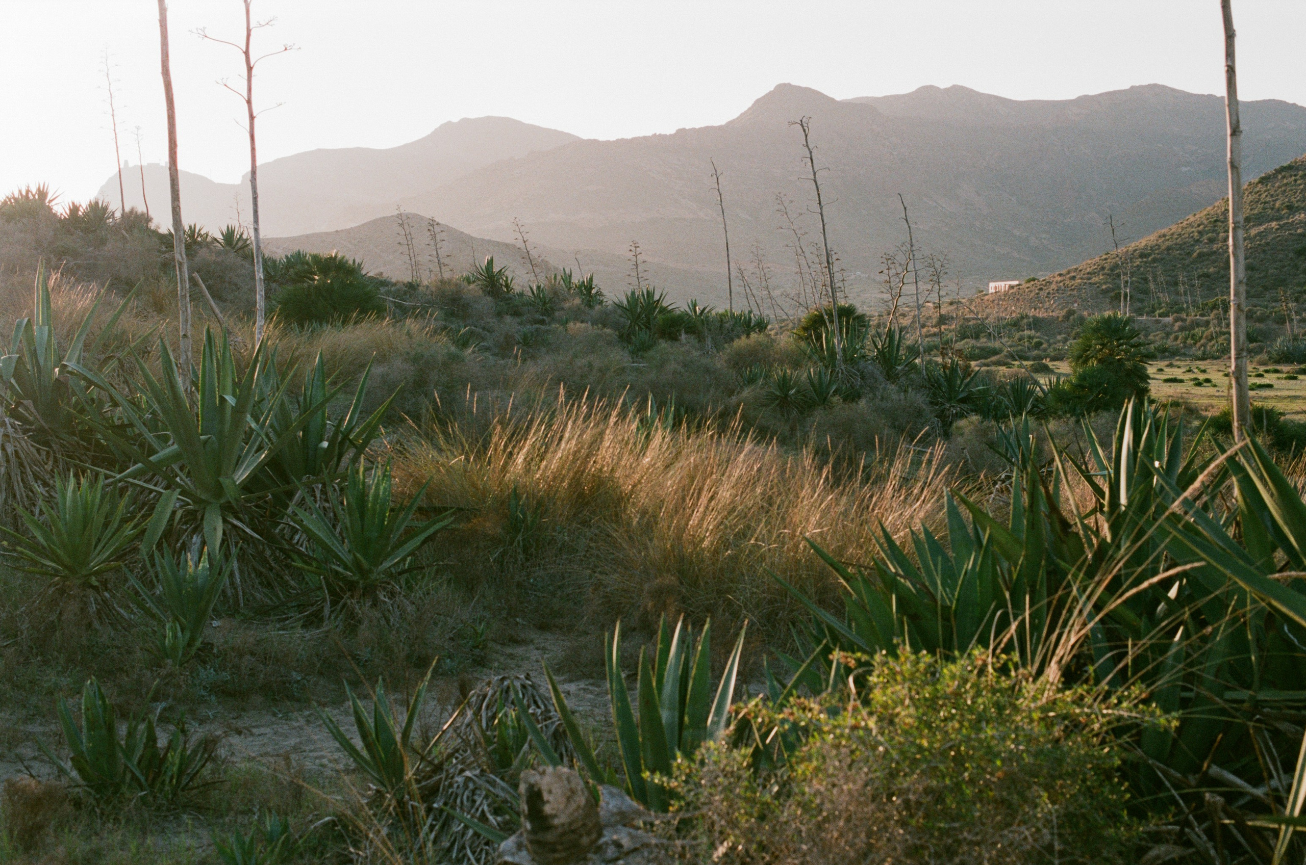 Spanish sahara // spain, cabo de gata II. EVER EXPOSED