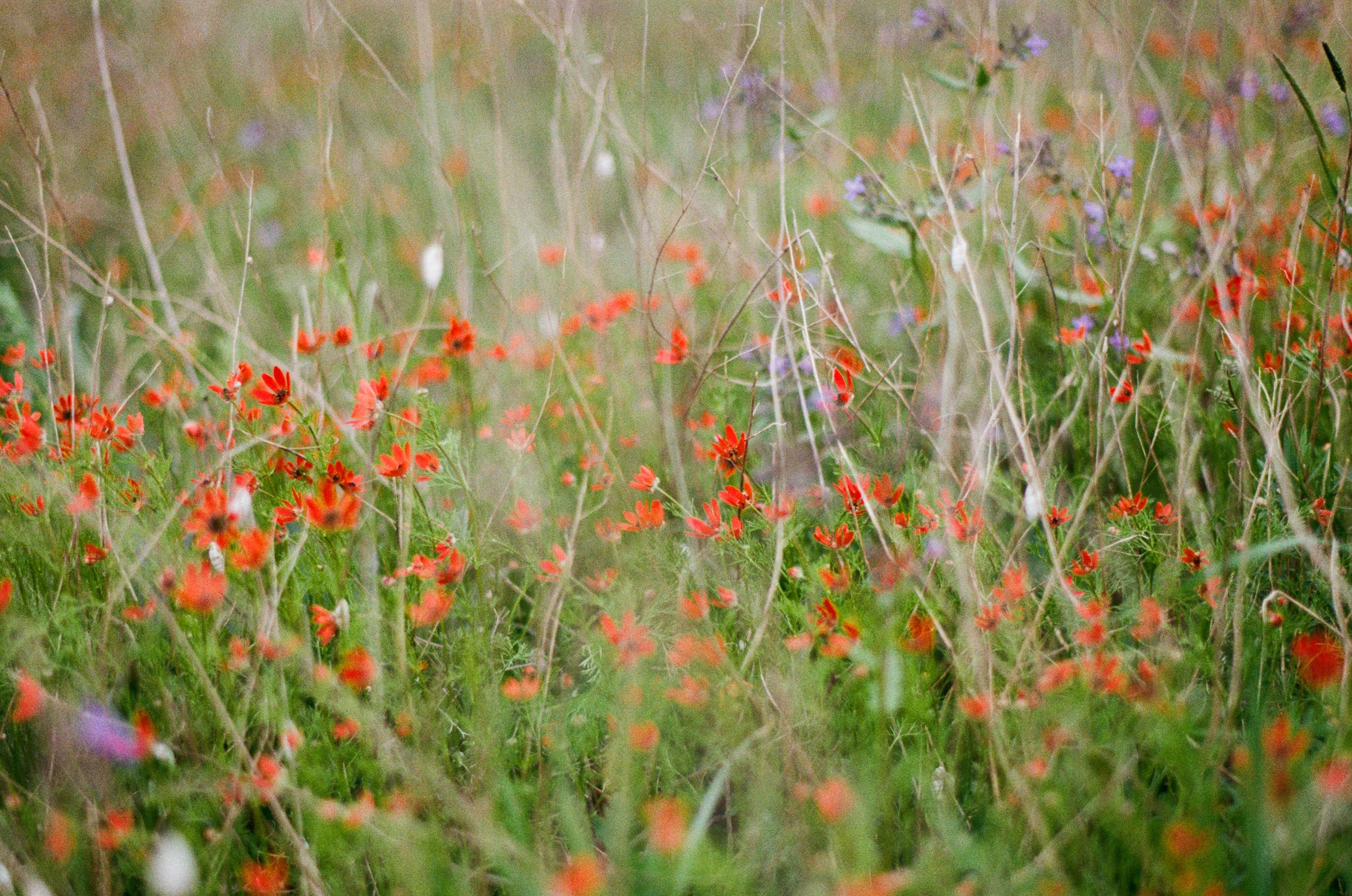 Some kind of madness // ukraine, crimea IV. EVER EXPOSED
