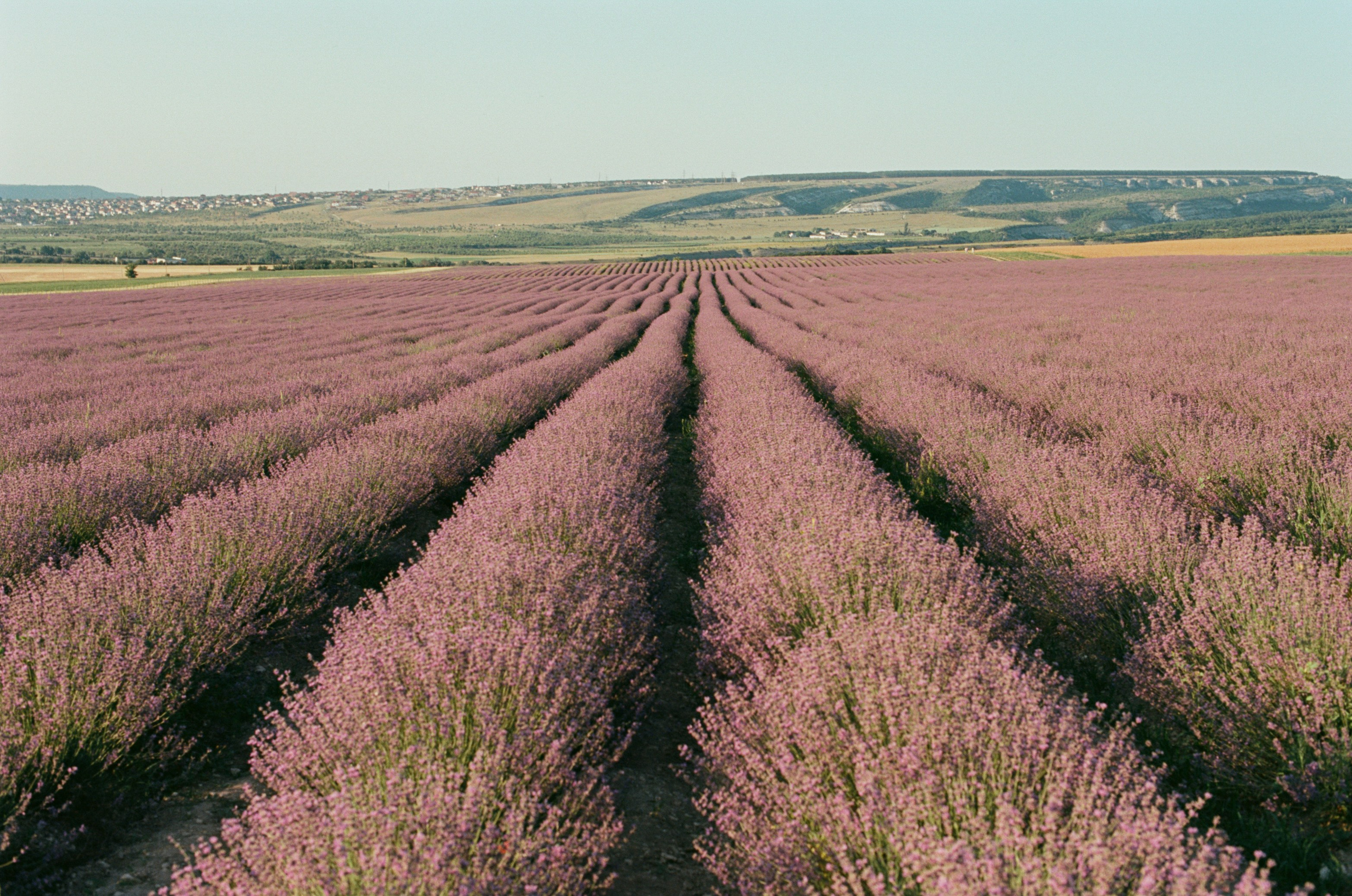 Silent running // ukraine, crimea VI. EVER EXPOSED