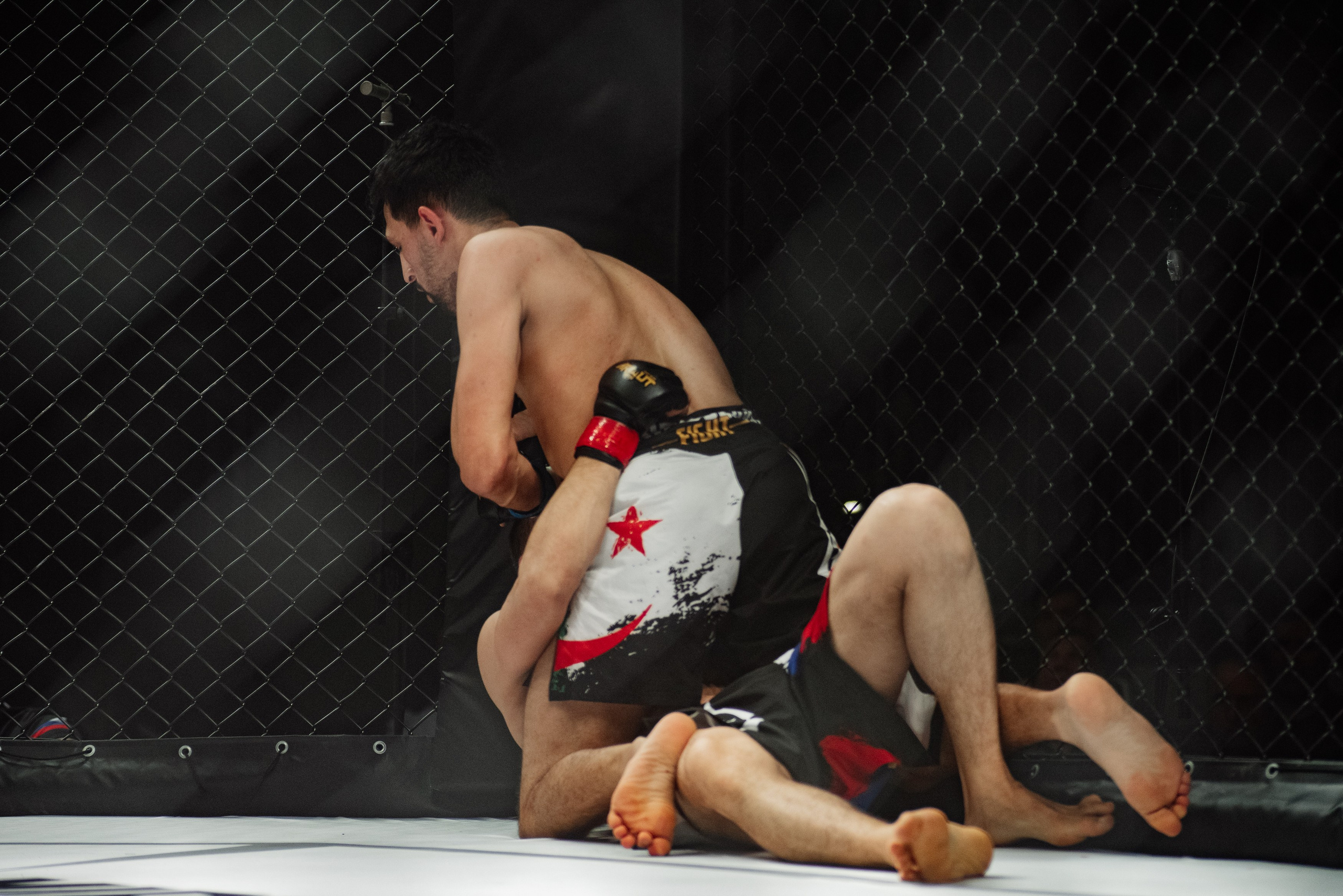 Miroslava Fight