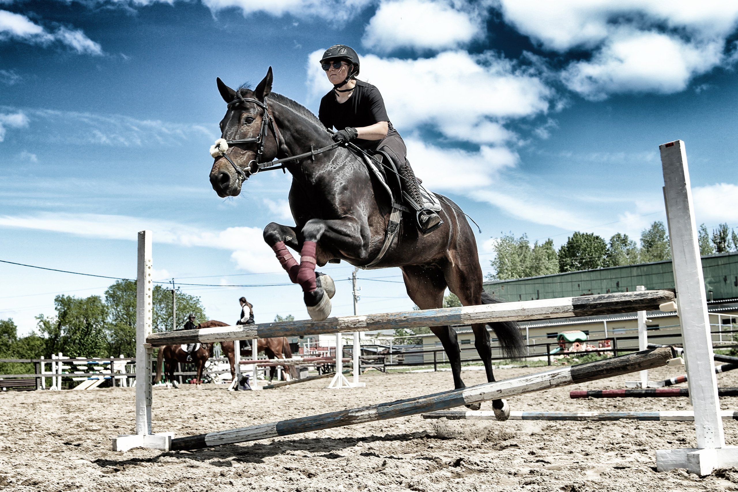 Лошади «Каскад» и «Брилиант». Алиса Томшина — Фотограф / Видеограф