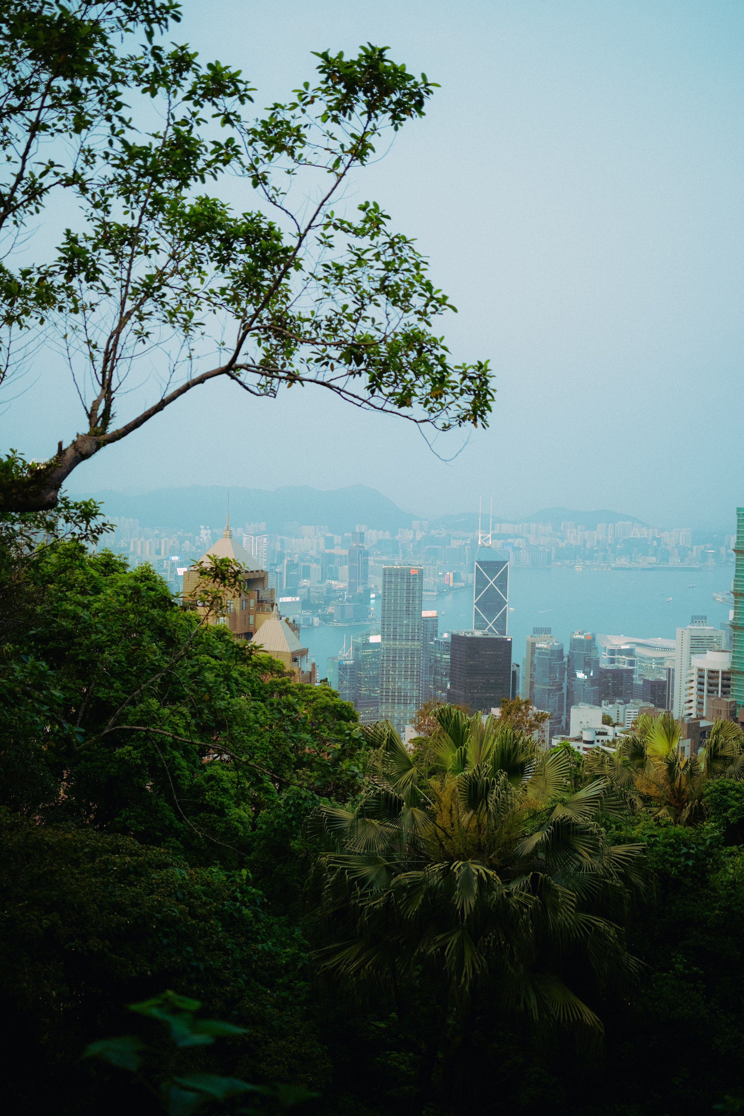 HongKong. Богдан Голубков — фотограф (notbogdang)