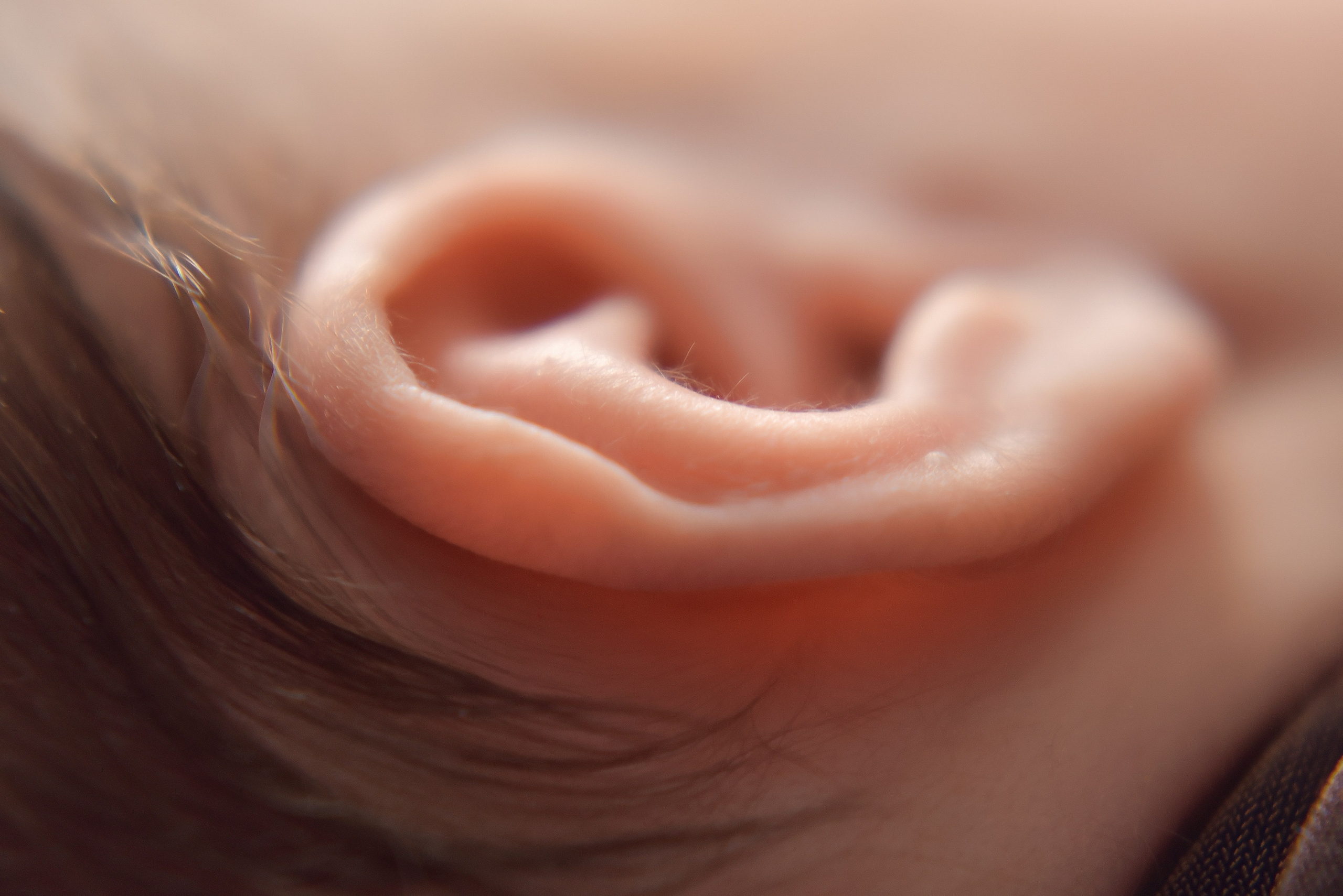 Макро кадры. Елена Комиссарова-фотограф новорожденных в г. Иваново