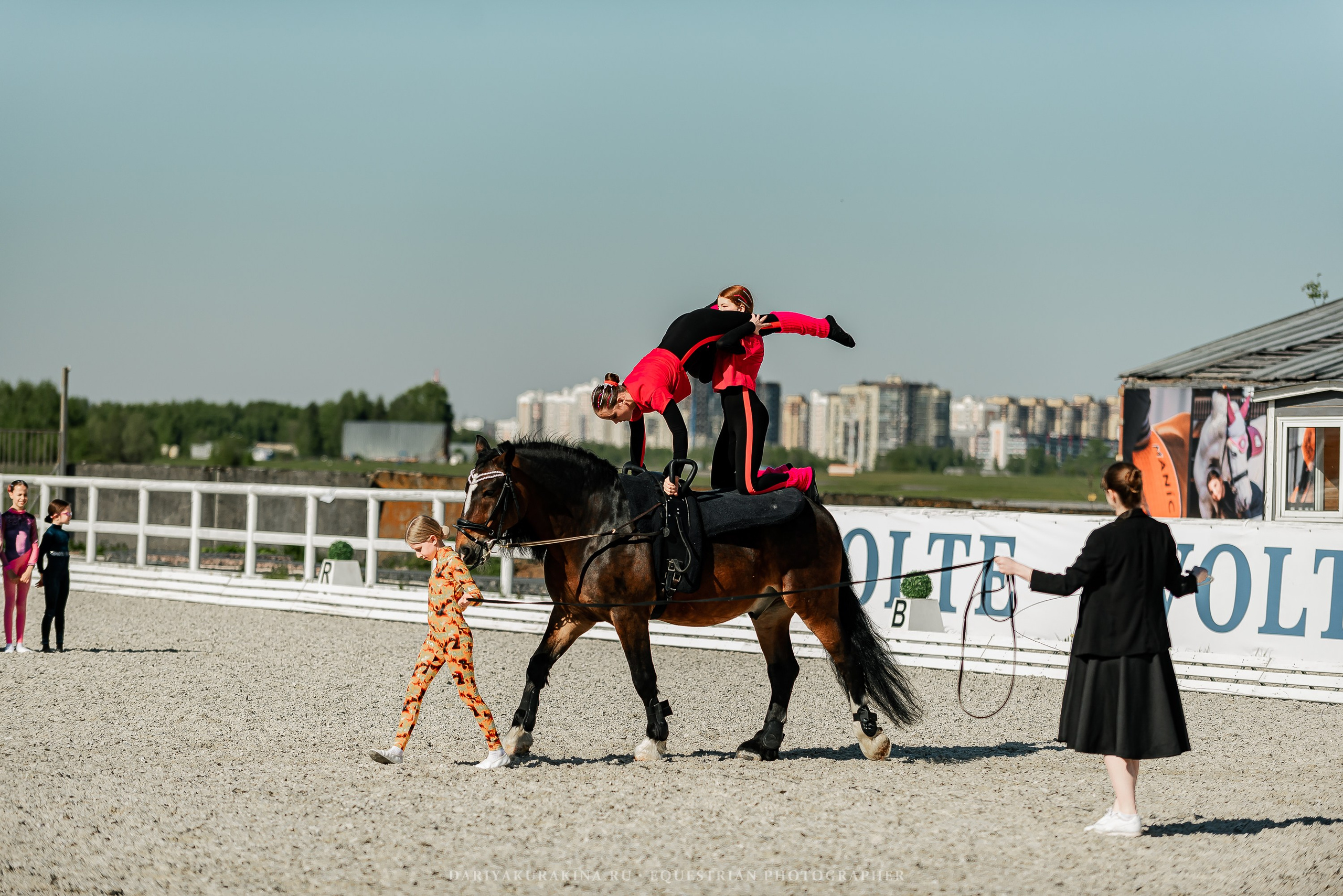 РЕПОРТАЖ МКК ВОЛЬТ «LA TULIPS». Конный фотограф Куракина Дарья • Фотосессии с лошадьми