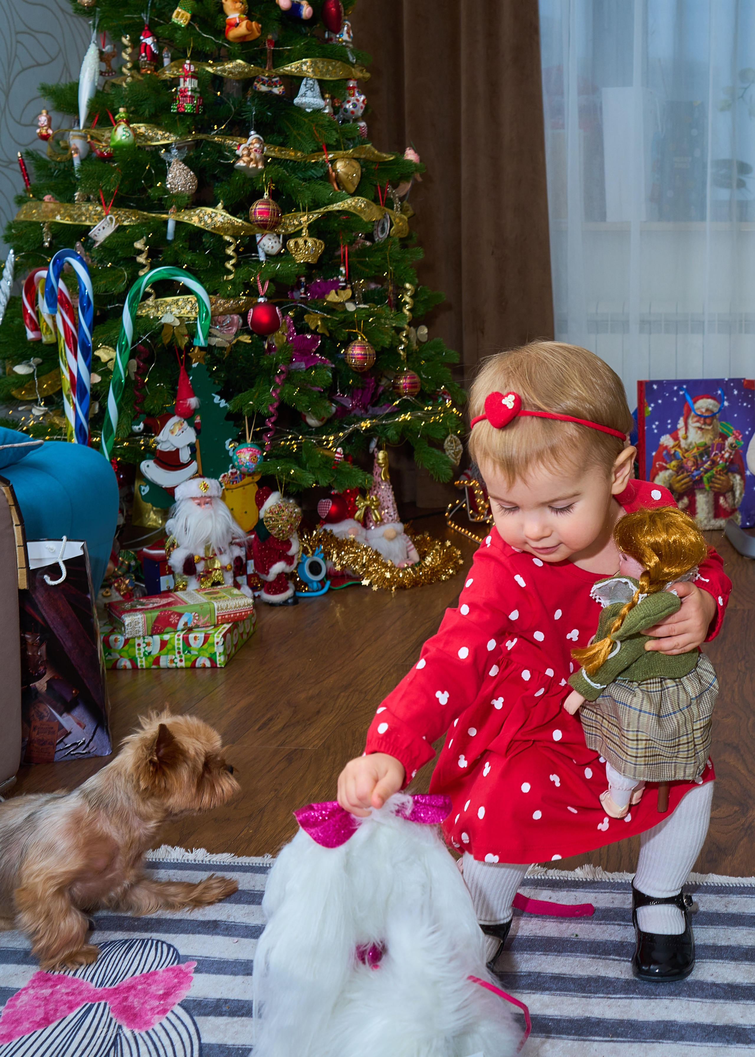 Машенька и Поленька 2024. Фотограф Михеев Андрей