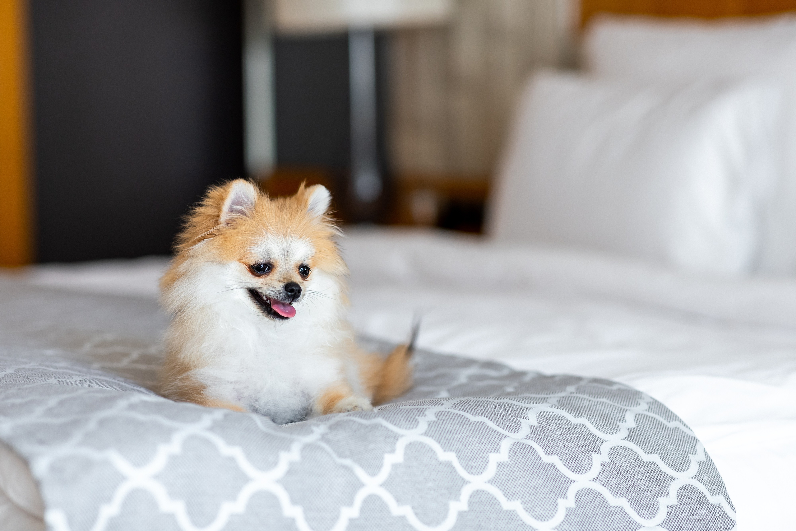 Контент для отелей и спа-комплексов. Отельный интерьерный фотограф Сочи