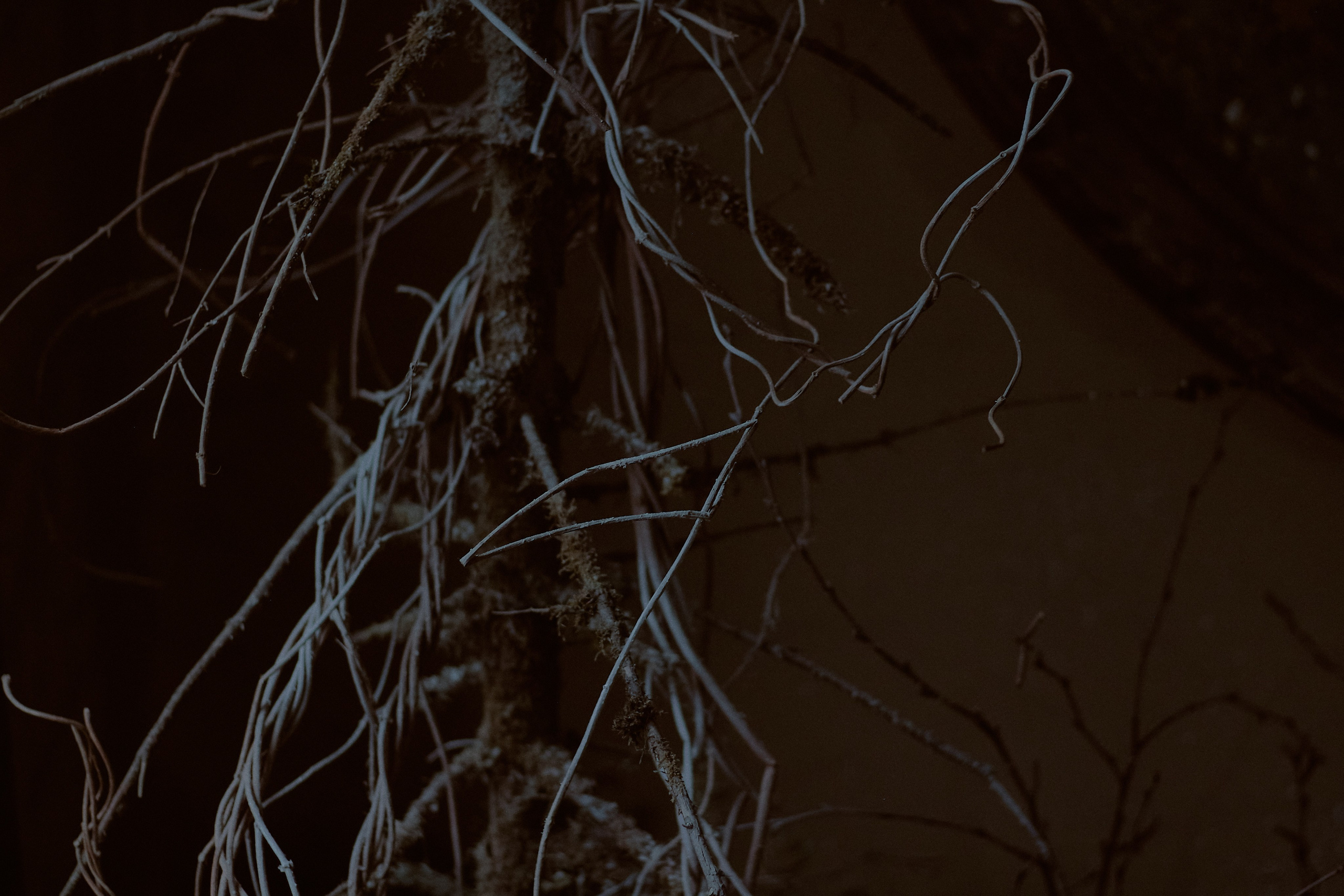 Тень. Фотограф лавстори Москва/МО Приятелева Ангелина