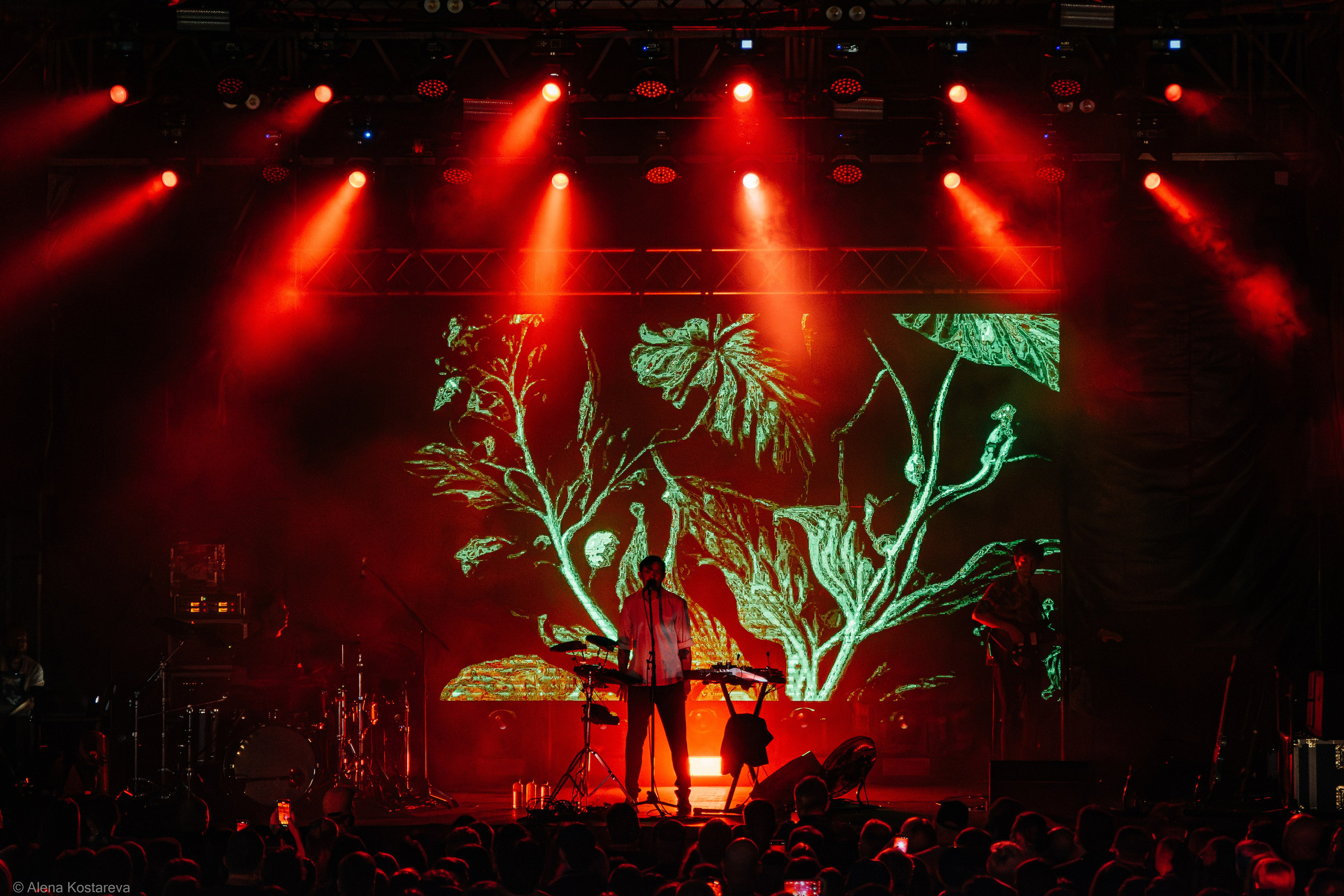 Dolphin. Алена Костарева. Фотограф в Ростове-на-Дону