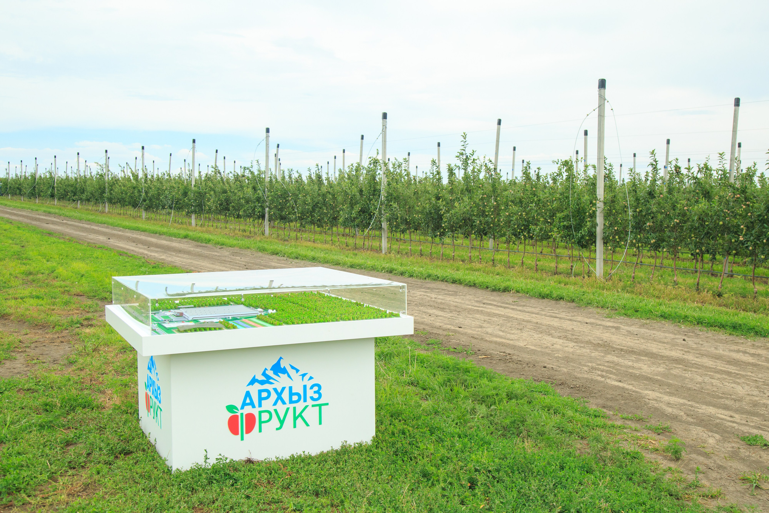 Репортажный фотограф. Репортажная фотосъёмка Минеральные Воды, Пятигорск, Кисловодск, Ставрополь. Репортажный и свадебный фотограф Пятигорск и КМВ