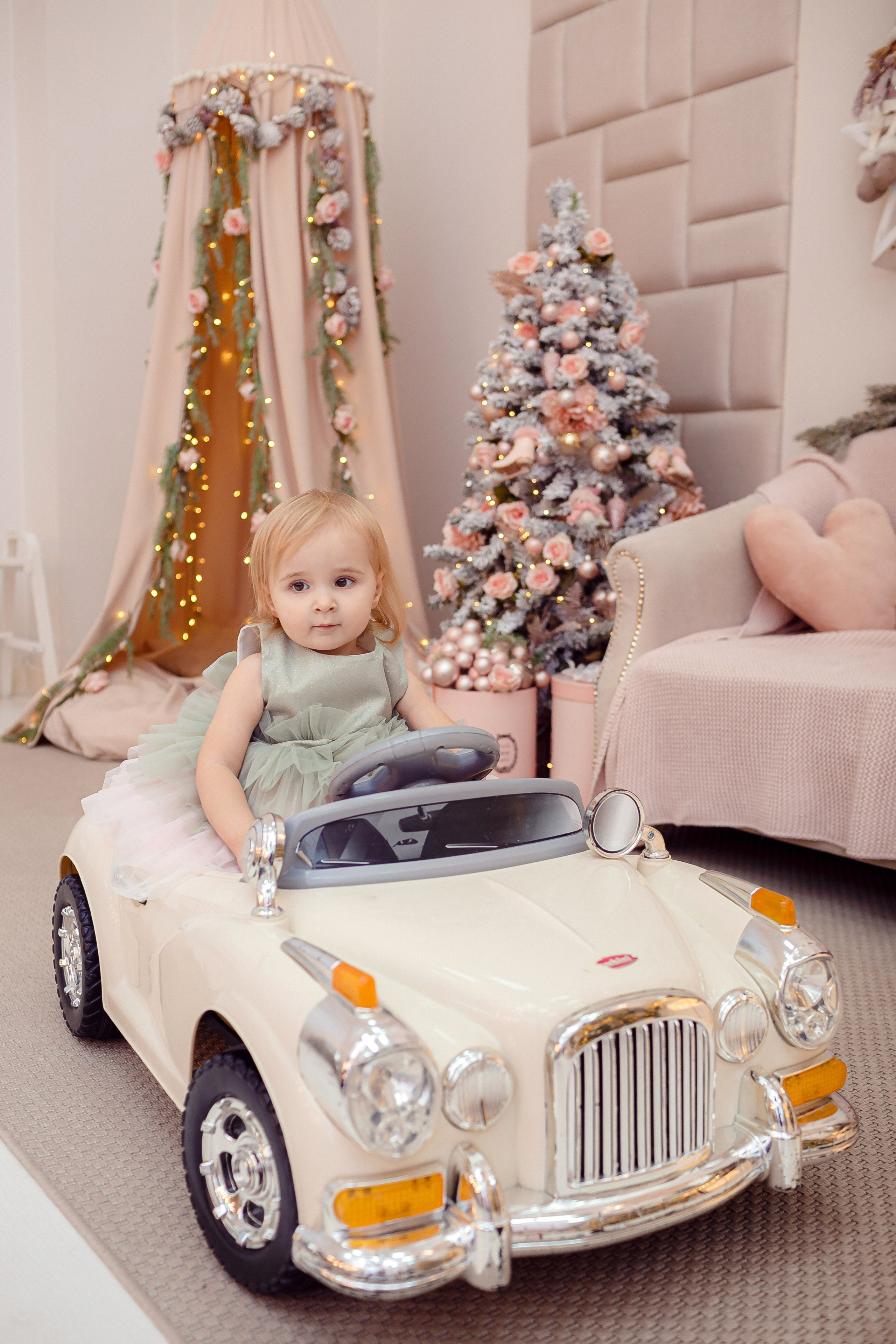 Новогодние фотопроекты