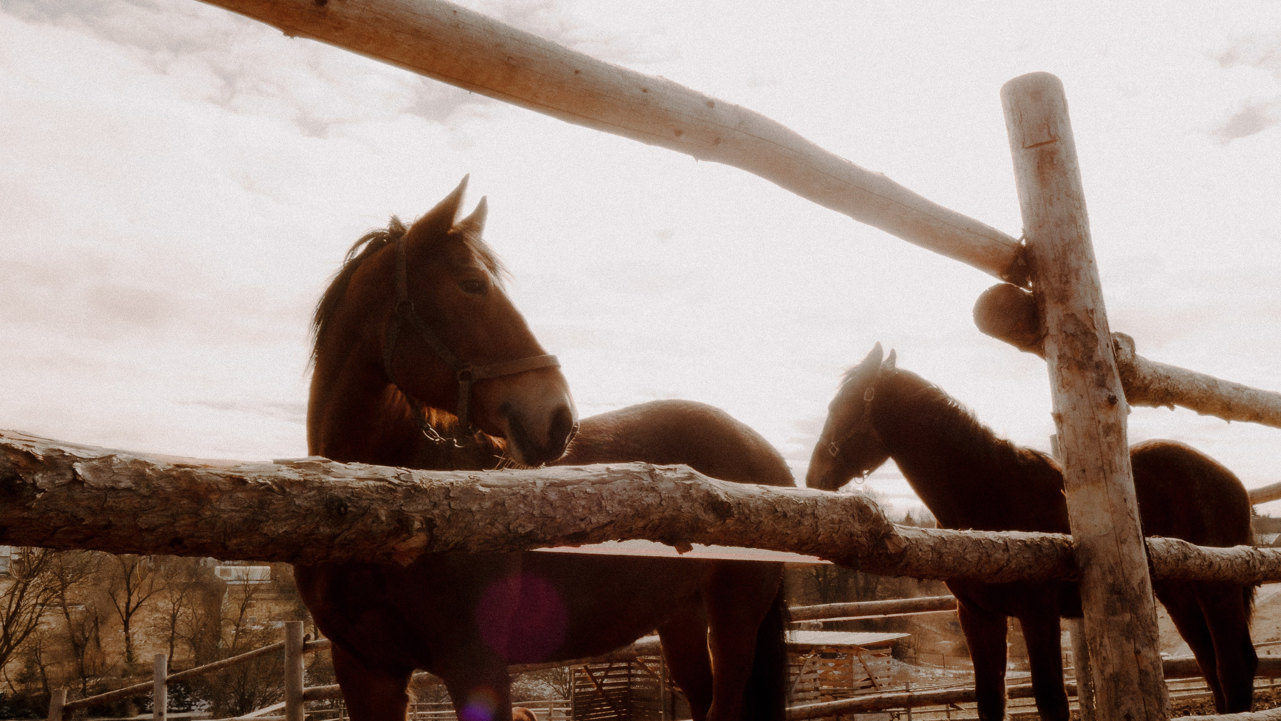 Тула '25. Фёдор Малюгин. Ваш бади в визуале