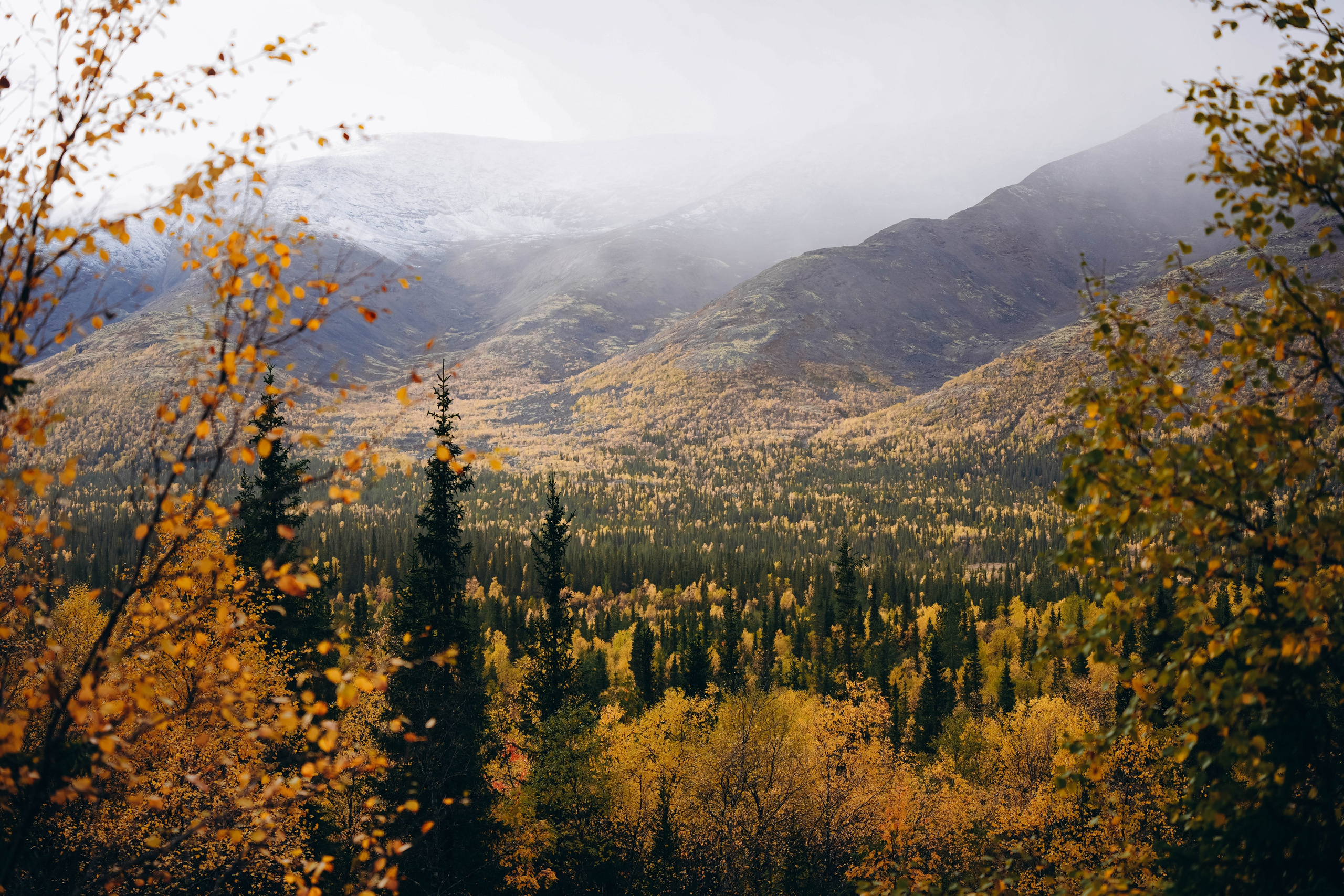 СЕВЕР. Event фотограф Степанова Александра