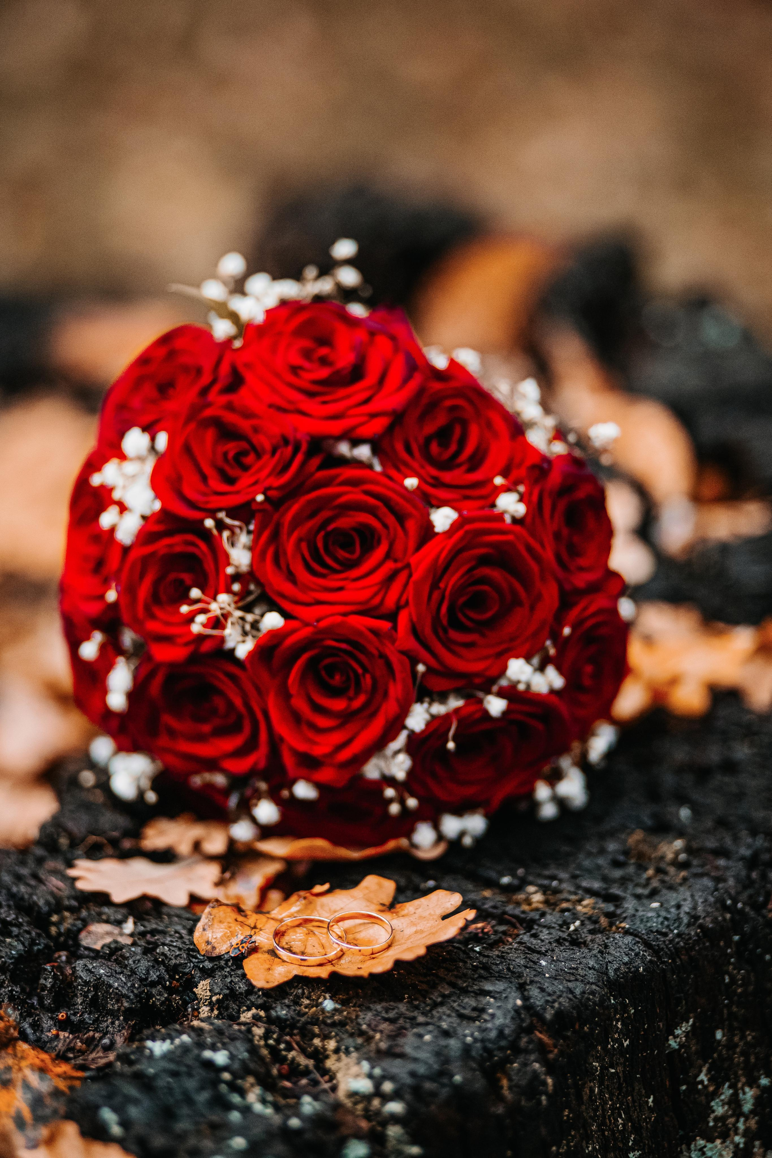 Свадьба в Курске. Семейный и свадебный фотограф в Курске Юлия Годунова