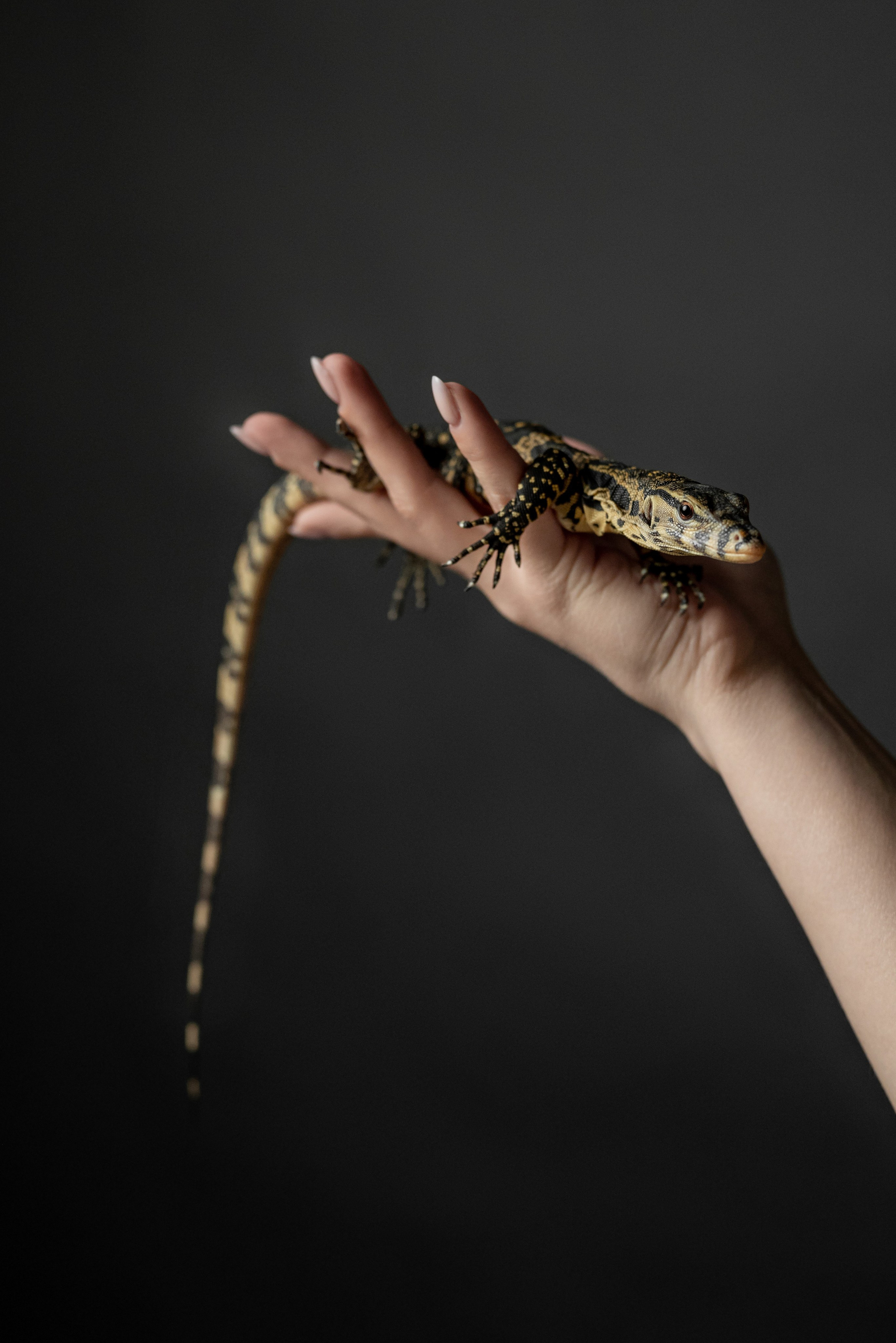 Кристина. Фотограф в городе Салават