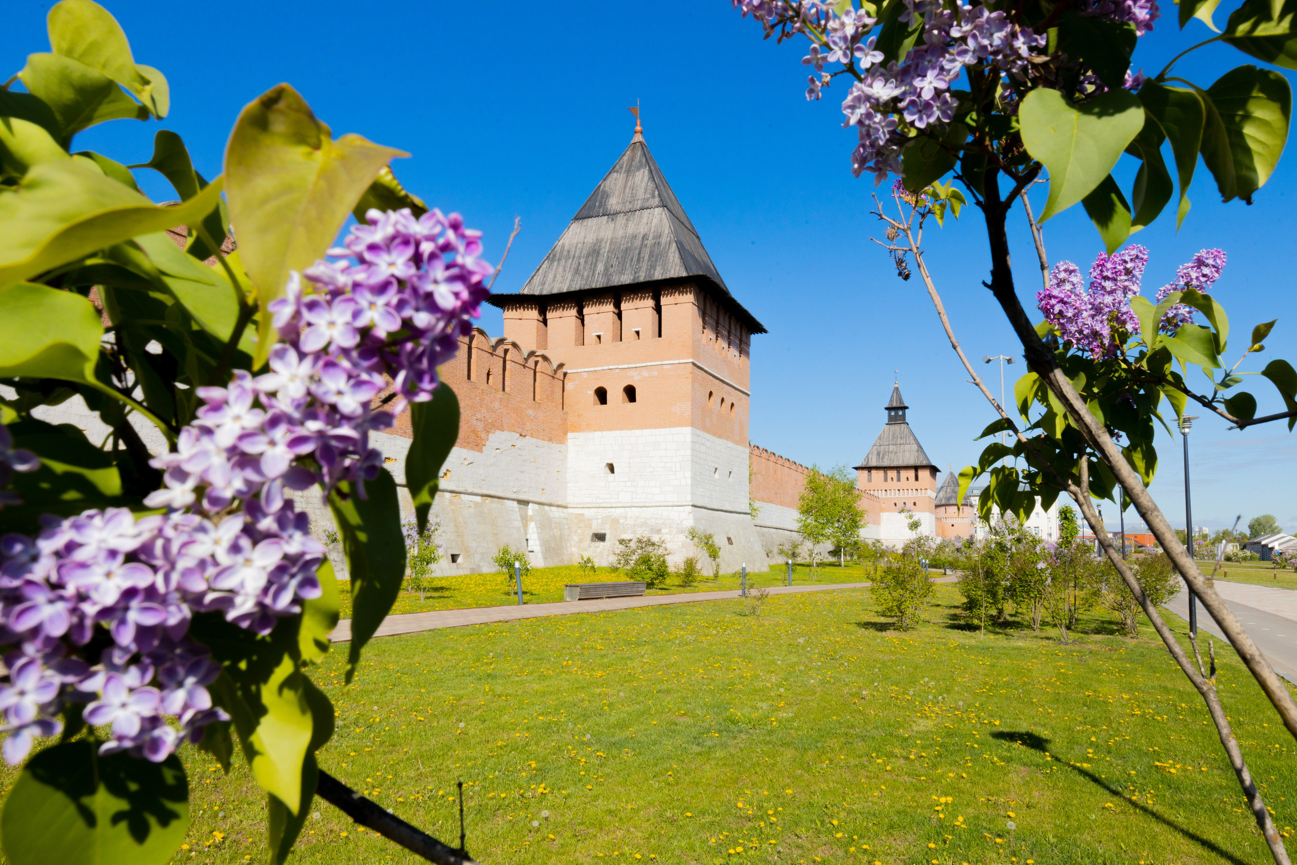 Весеннее цветение в Туле. Фотограф в Туле Крупский АнДРей. Фотостудия «КАДР71» в Туле