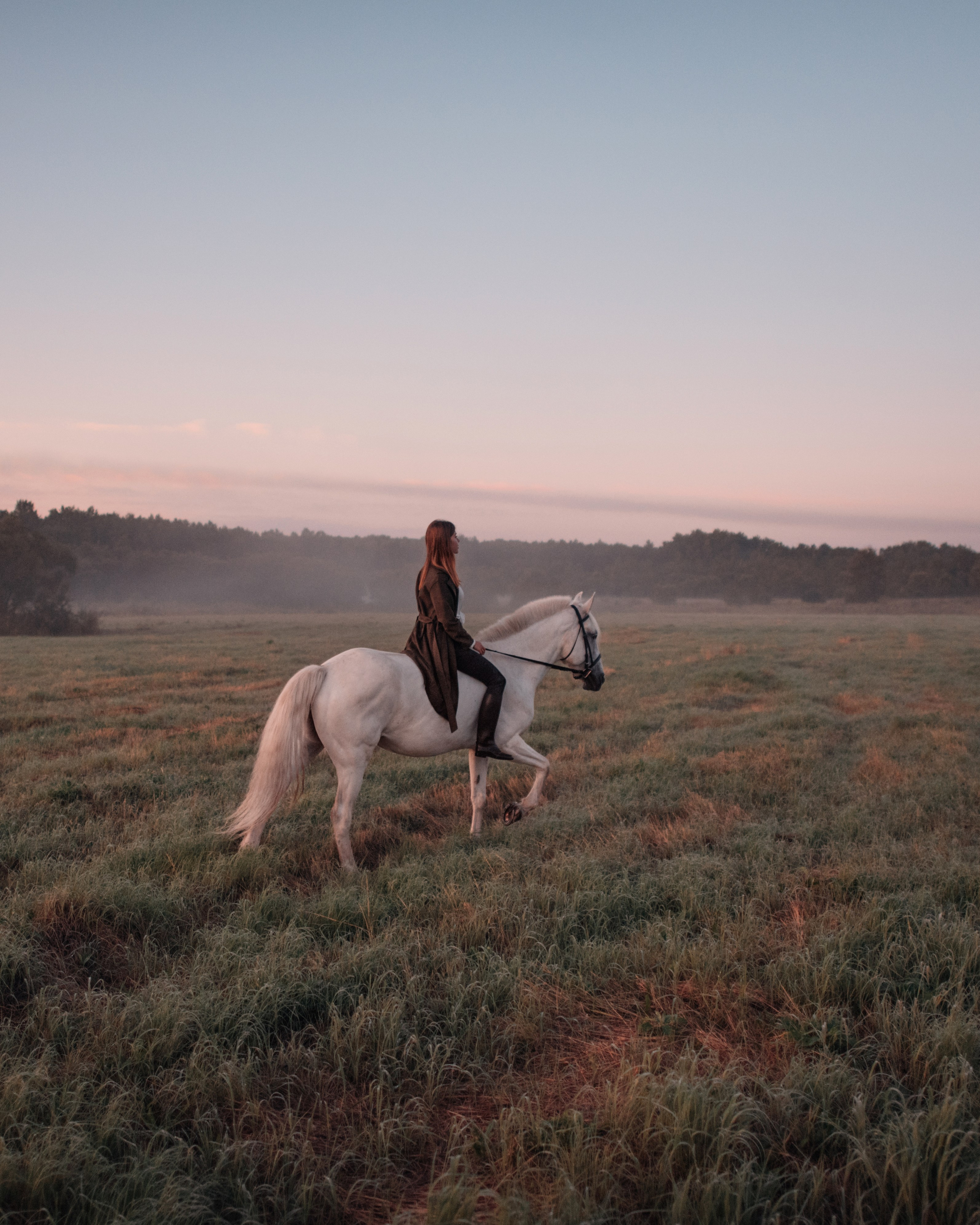 Конное: рассвет на поле с Лерой и Златой. Портфолио