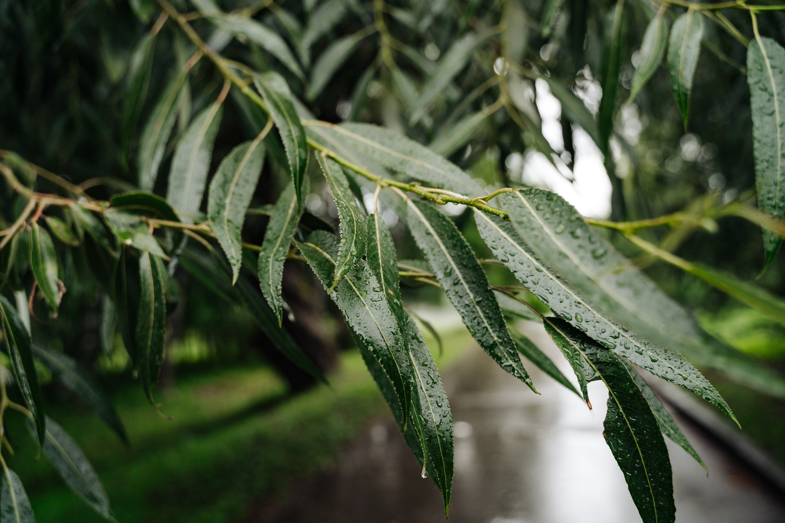 Степан и Любовь. Фотограф и видеограф в Смоленске Денис Медведев