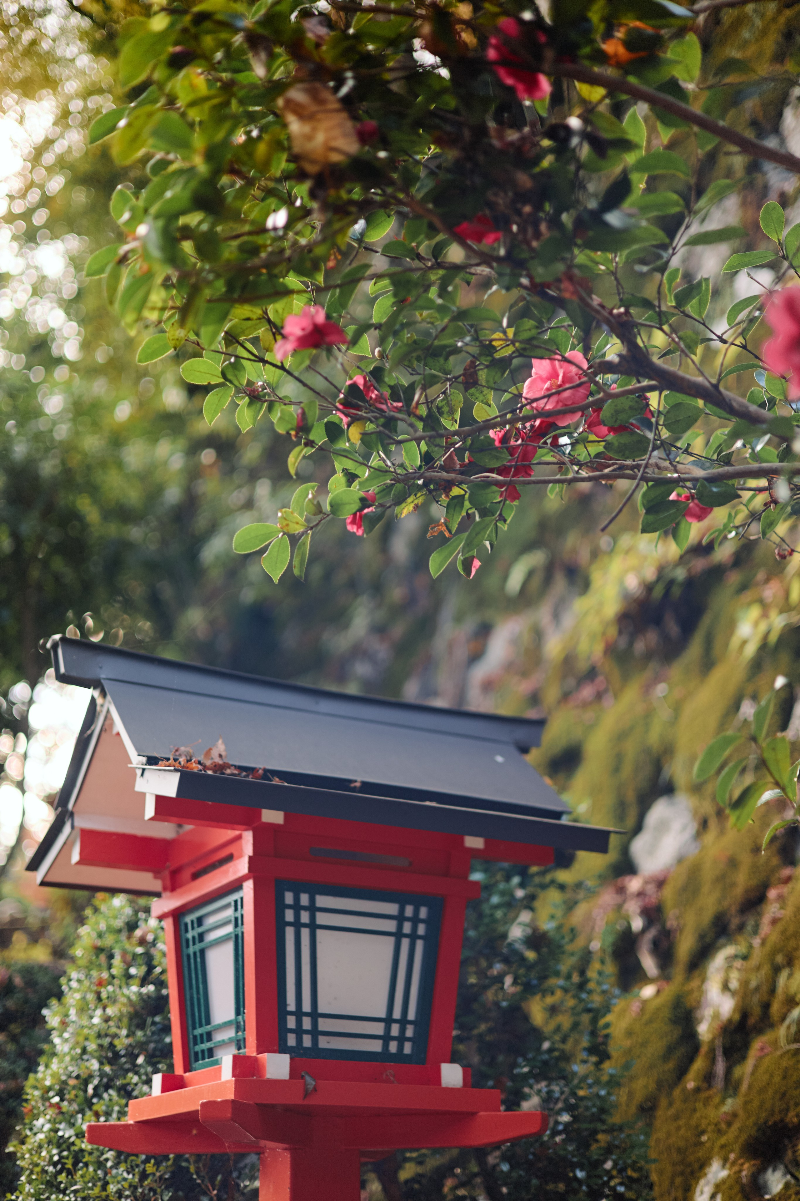 Япония. Профессиональный Фотограф во Владимире, в Москве и в Суздале — Полина Романычева