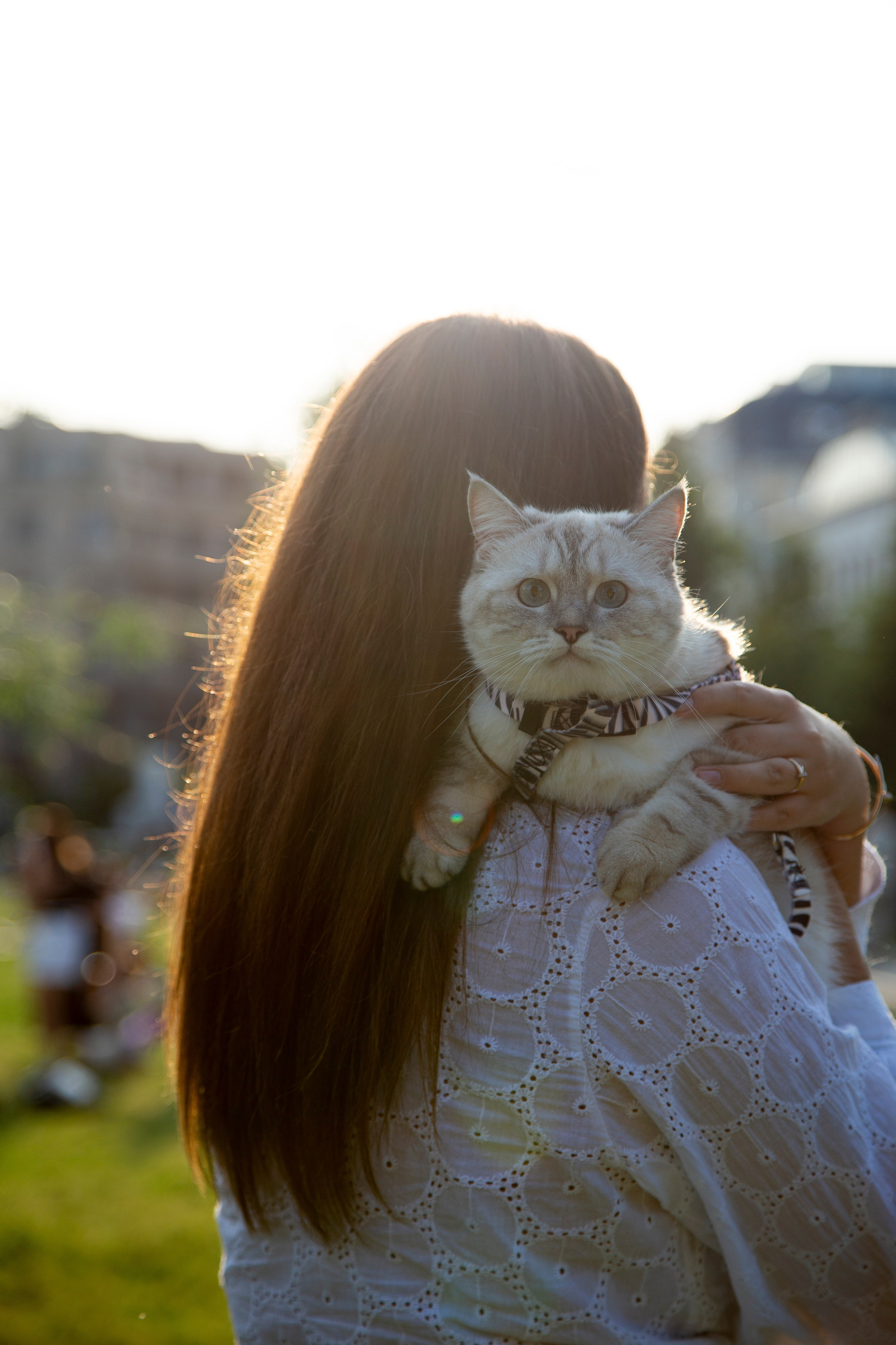 В моде тёплые коты. Репортажный и портретный фотограф Казань / Горячих Полина