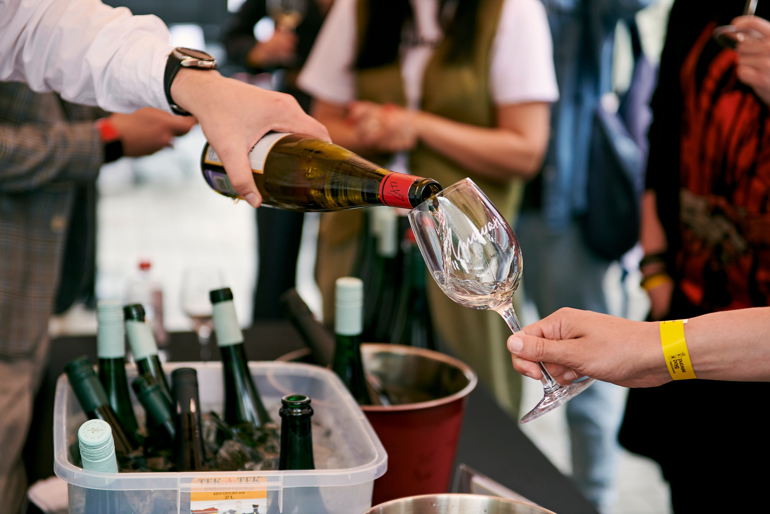 Рислинг роуд. Фотограф Постольник Дарья