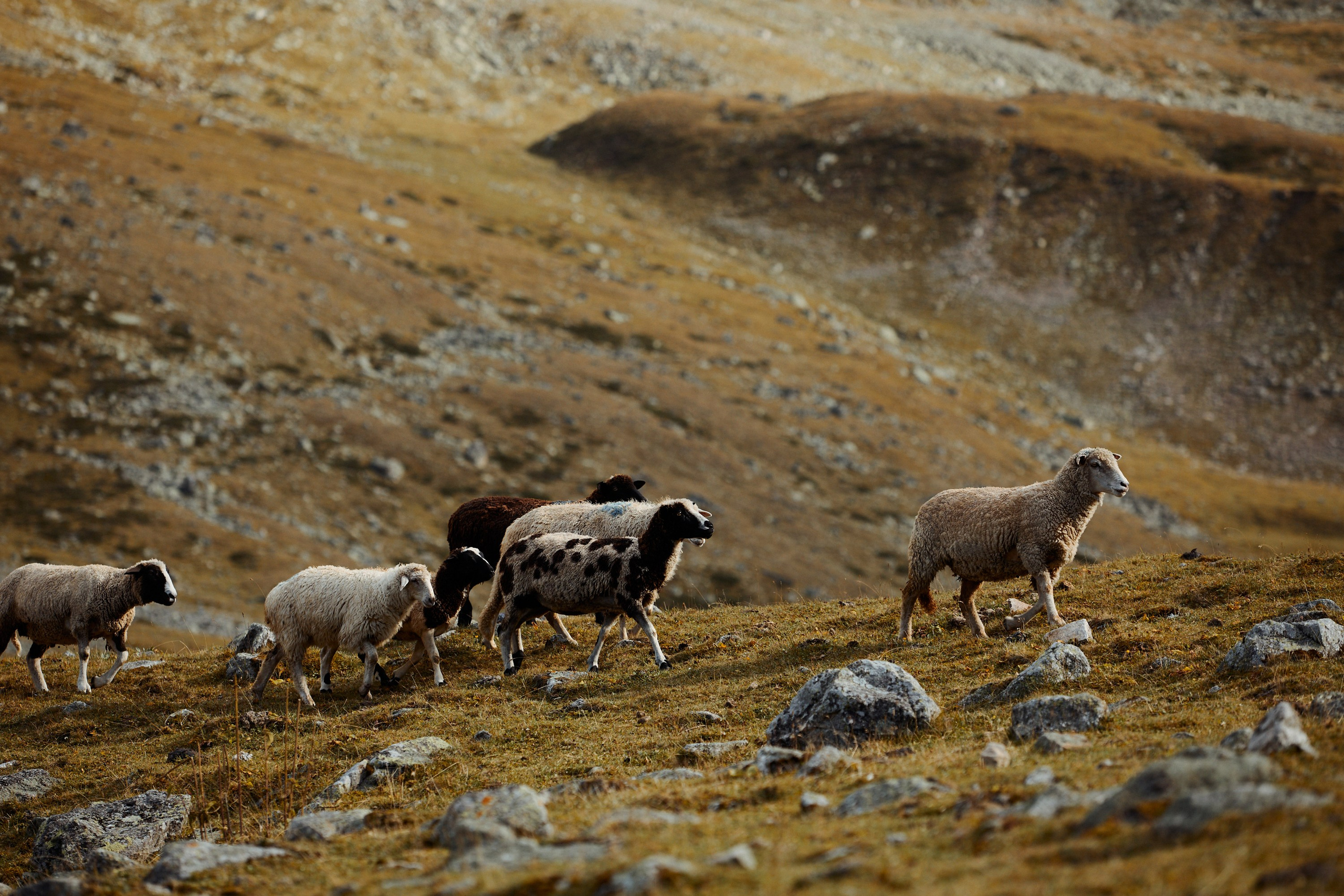 Озеро Гийбашкель. Фотограф Продюсер в горах КБР / Москва  Нальчик Горы