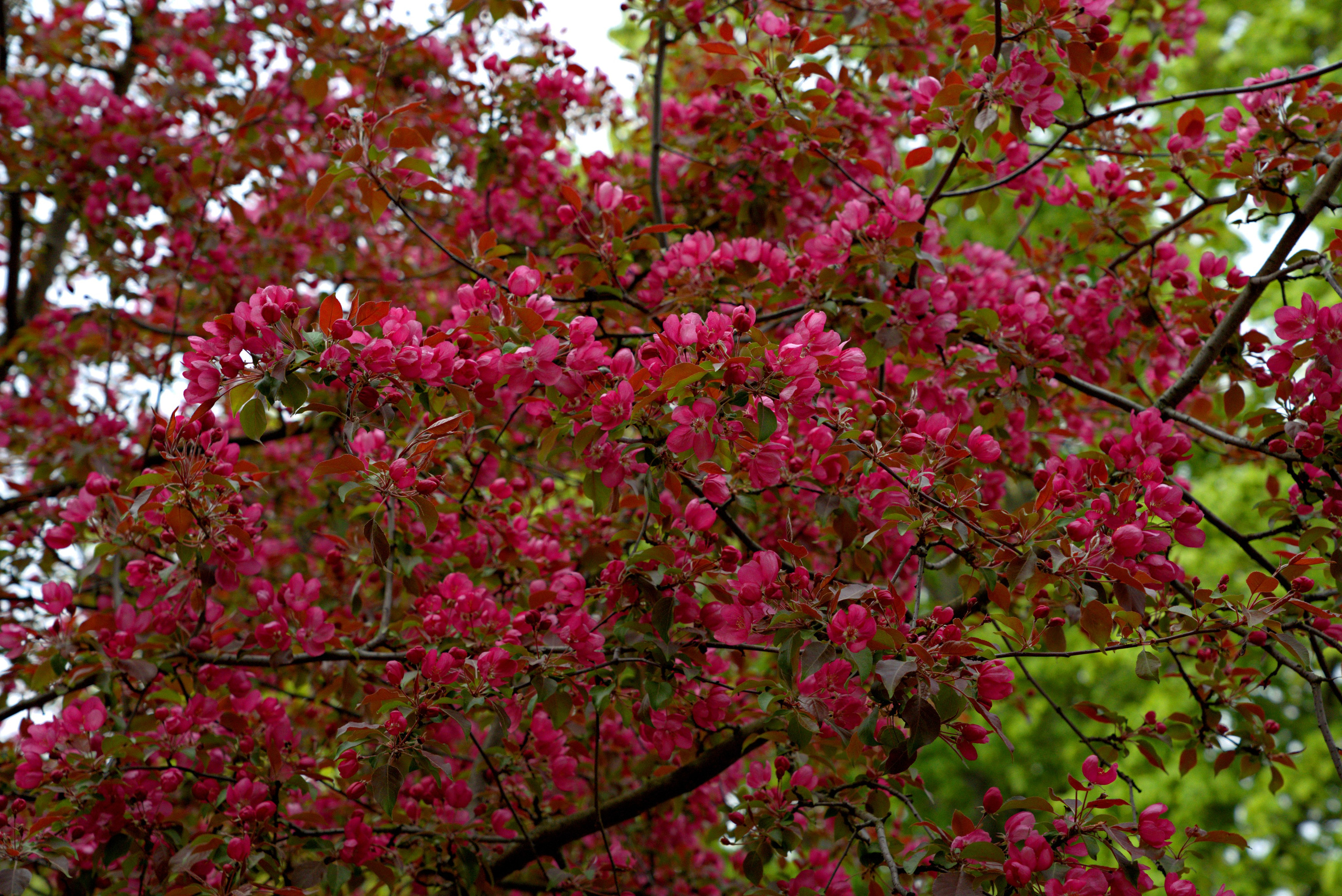 Музей-Заповедник «Царицыно» | 2025. GLAR
