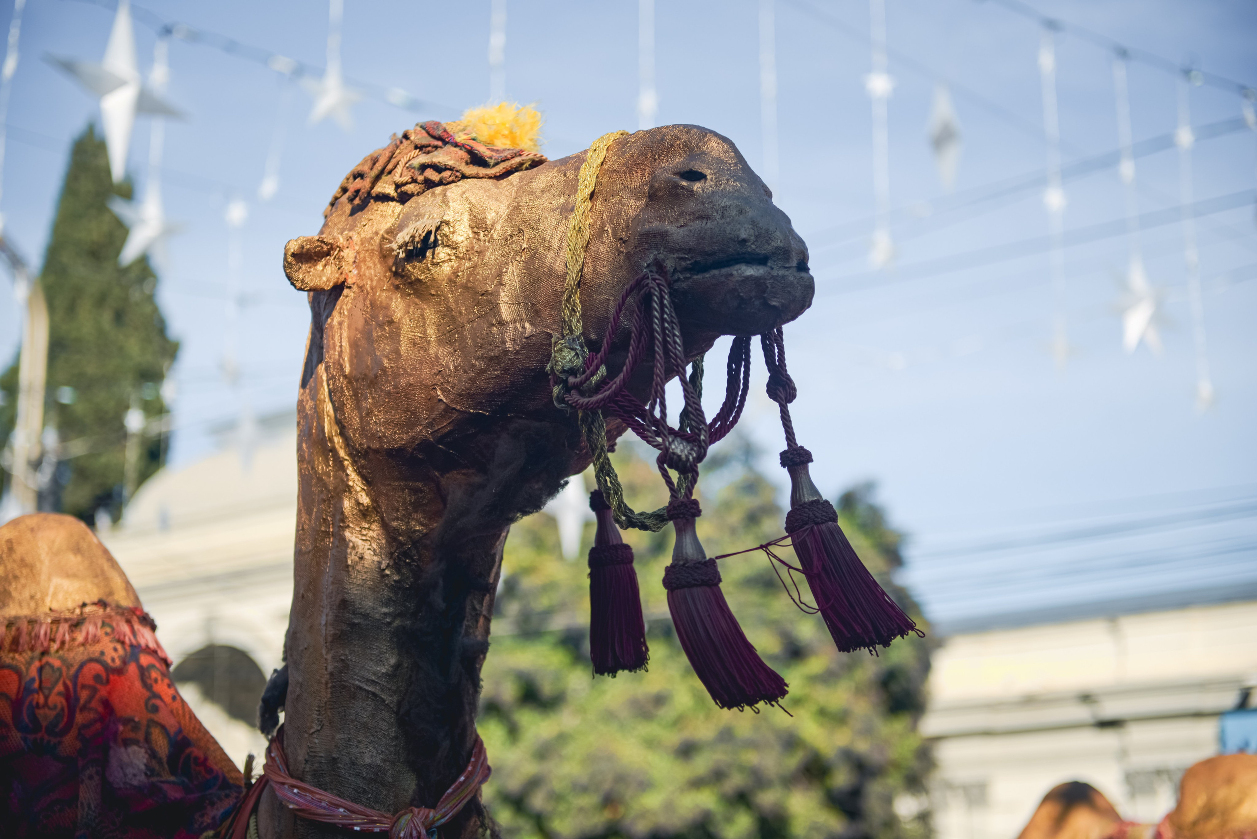 Report photographer Tbilisi. Lika Gomiashvili photography Georgia Tbilisi